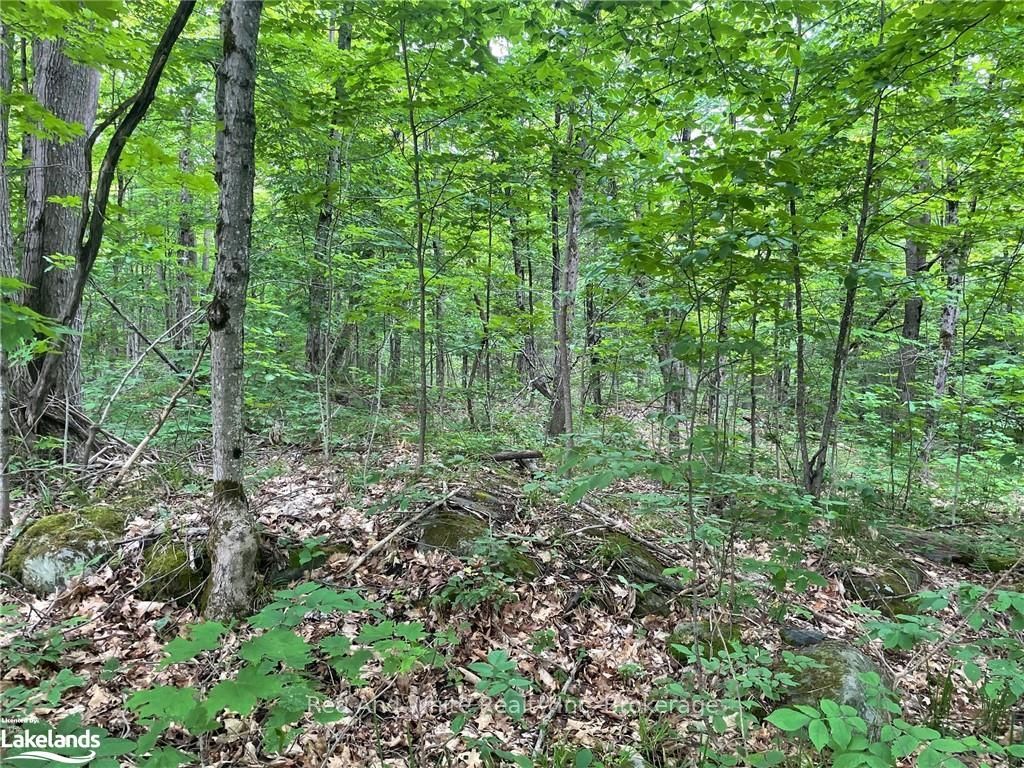 23 AHMIC LAKE Road, Magnetawan, ON P0A 1A0 photo 3