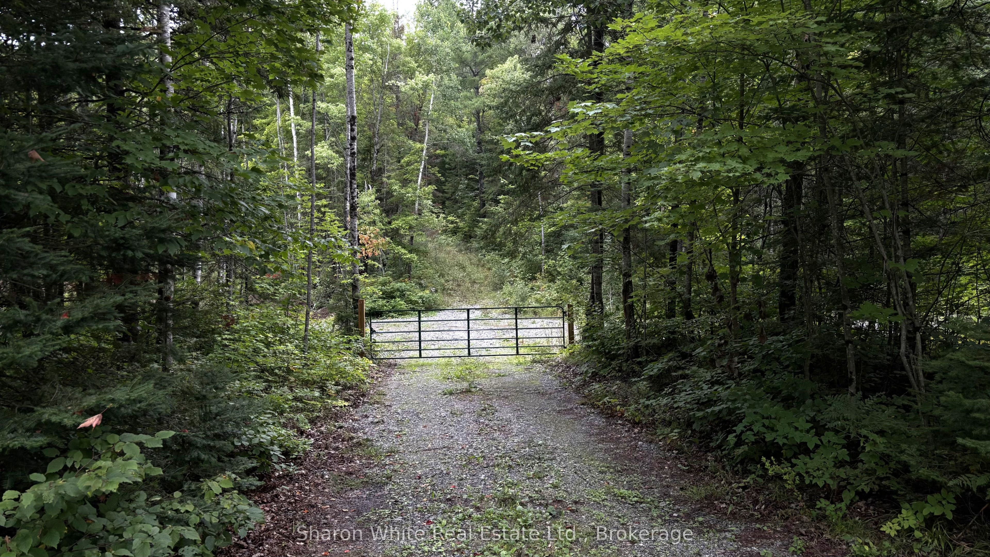 204 Grant Road S, Hastings Highlands, ON K0L 2S0 photo 3