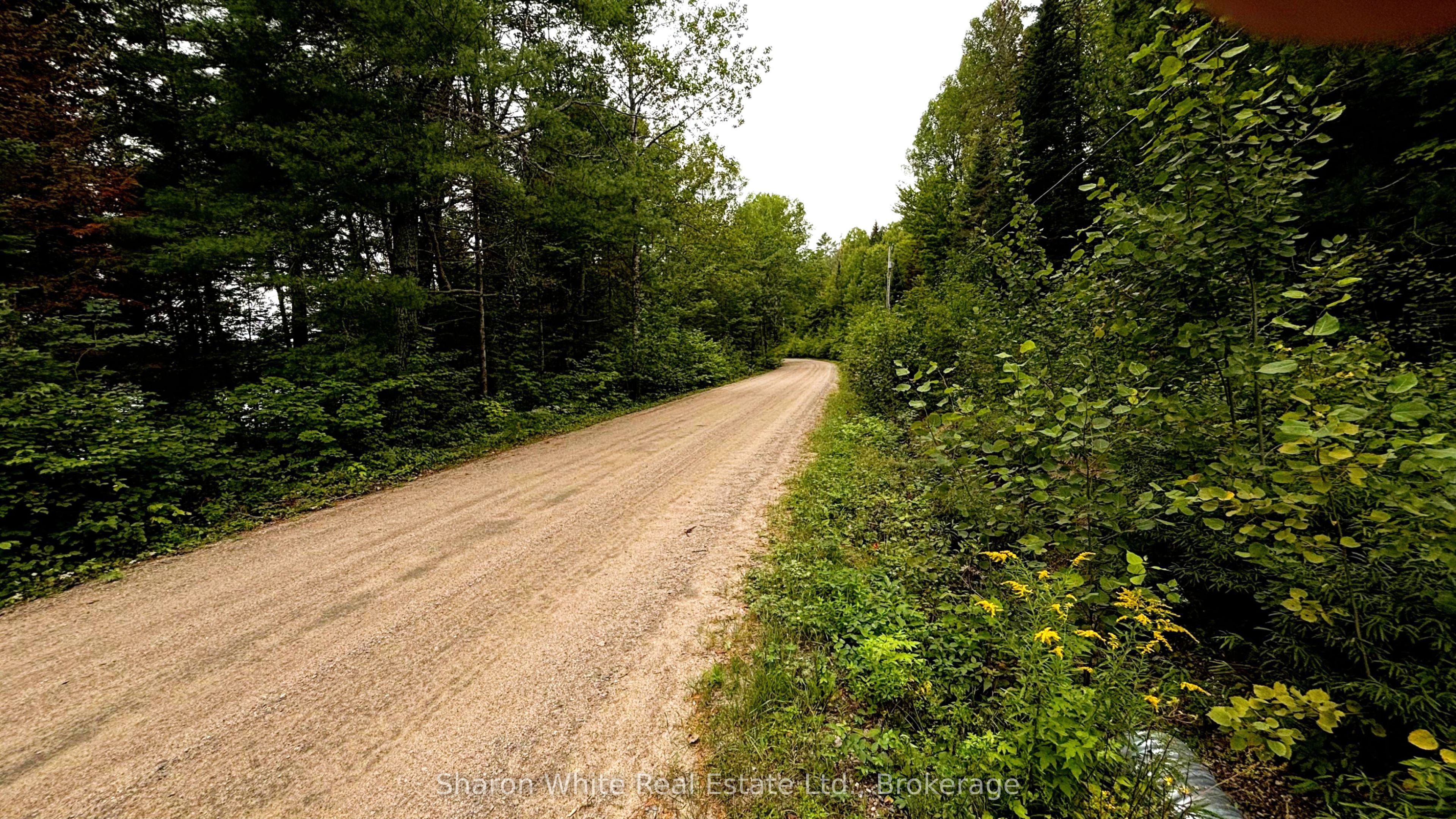 204 Grant Road S, Hastings Highlands, ON K0L 2S0 photo 4