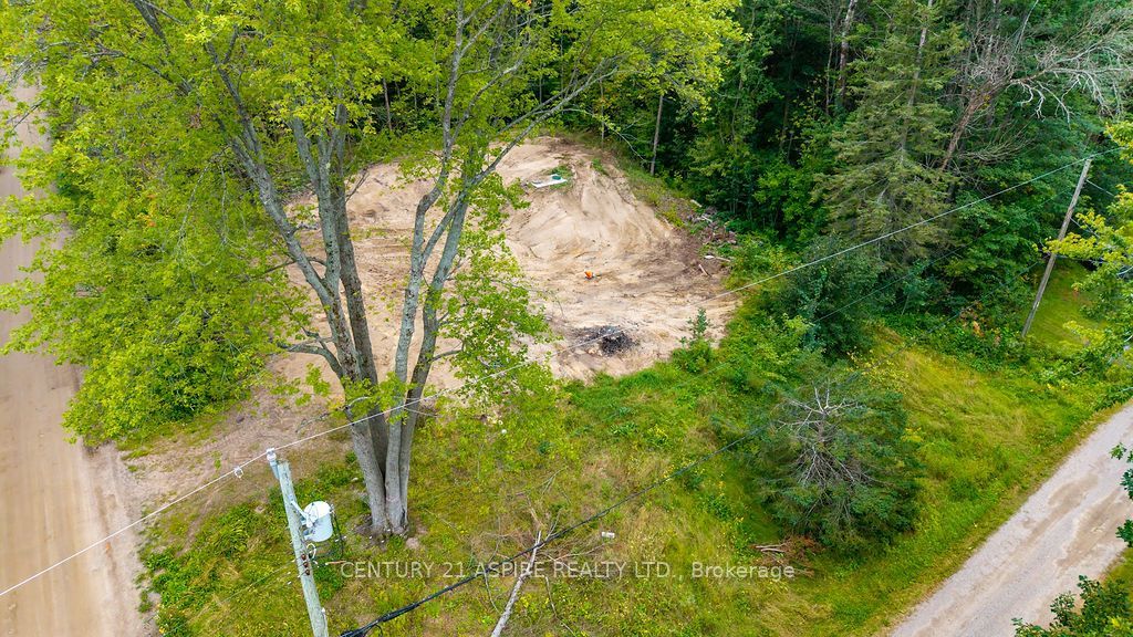 201 Sand Point Road, Whitewater Region, ON K8A 6W2 photo 2