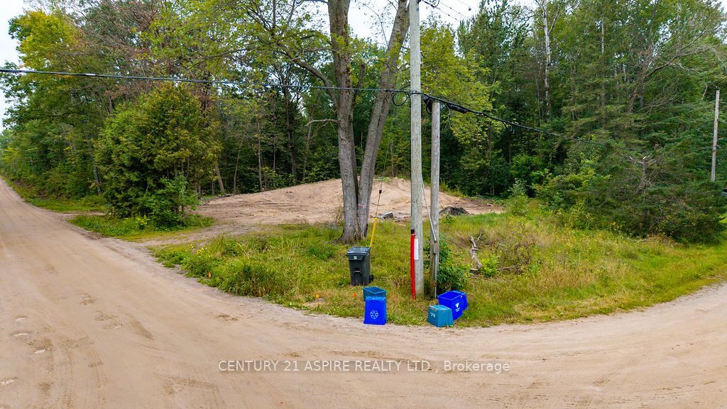 201 Sand Point Road, Whitewater Region, ON K8A 6W2 photo 4