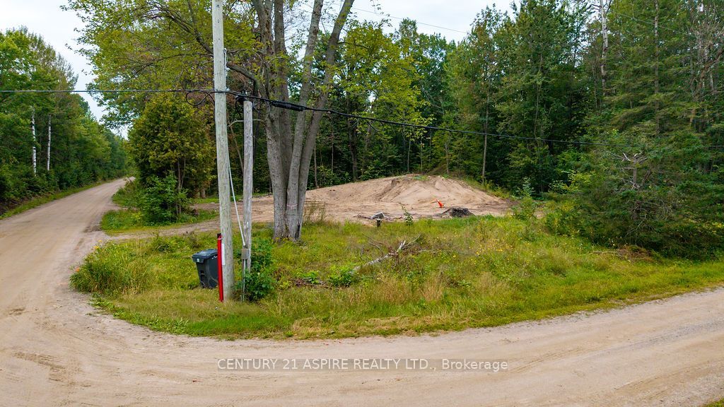 201 Sand Point Road, Whitewater Region, ON K8A 6W2 photo 5