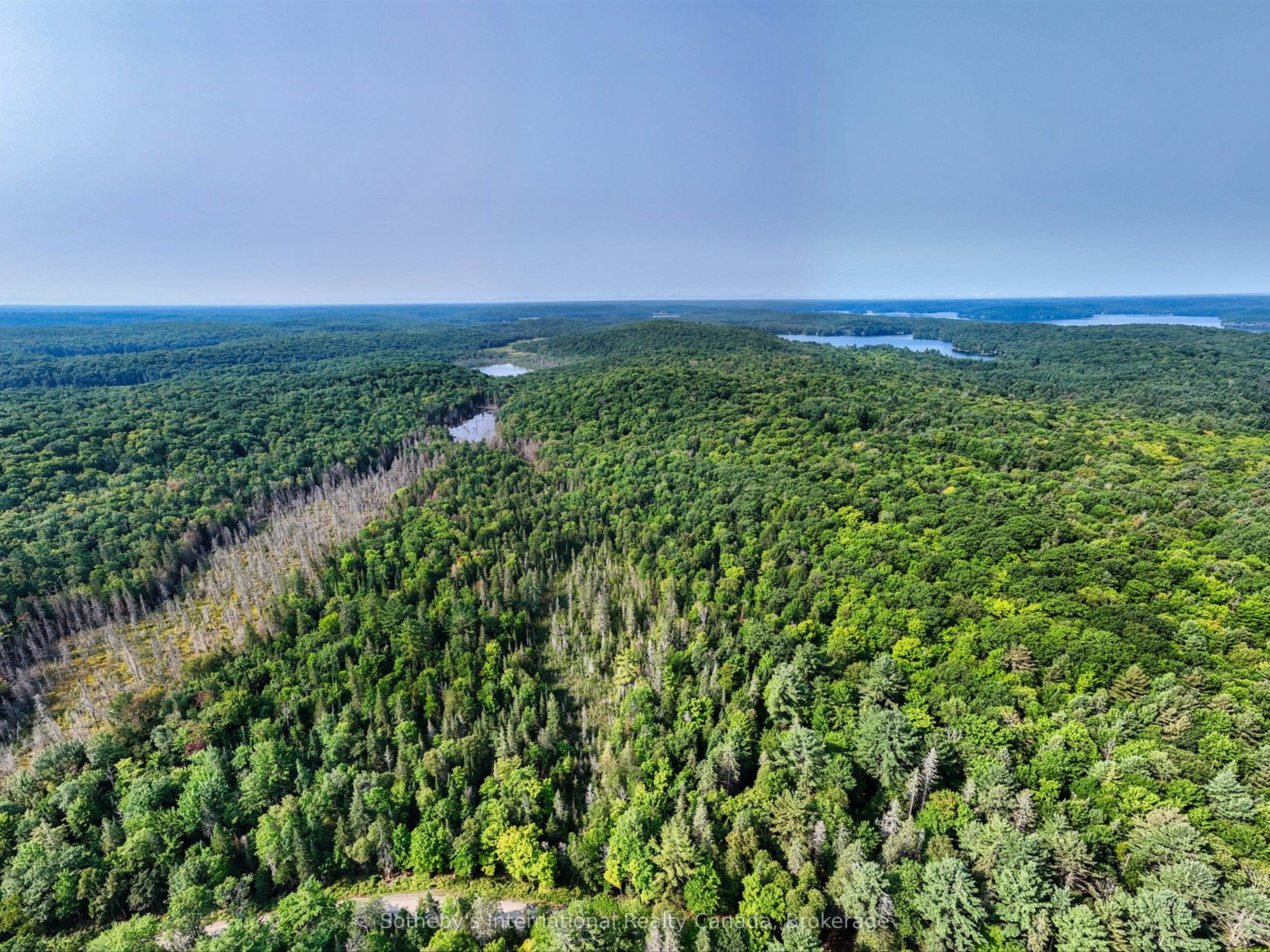 1045 C BROWNS BRAE Road, Lake of Bays, ON P0B 1A0 photo 2