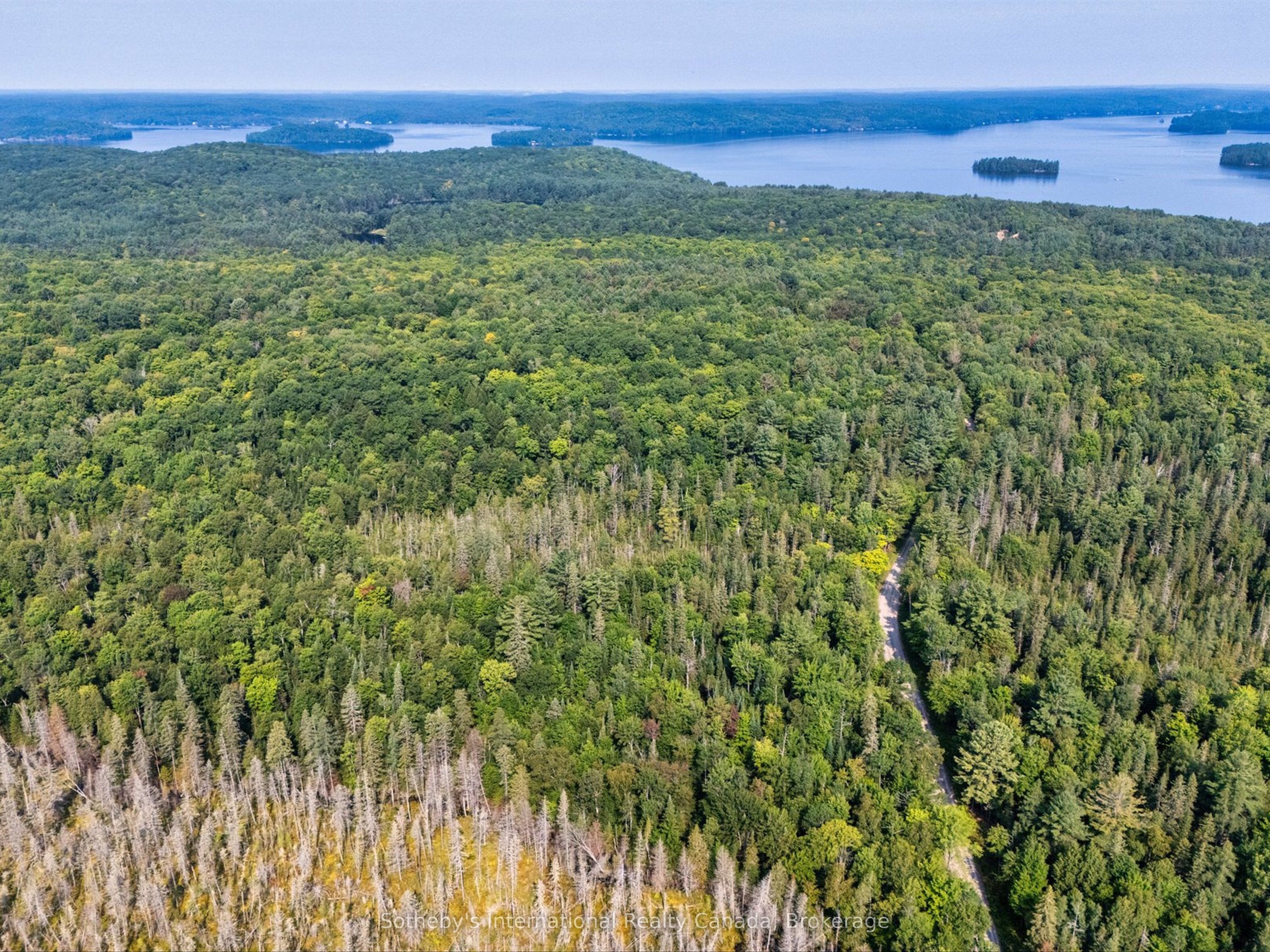 1045 C BROWNS BRAE Road, Lake of Bays, ON P0B 1A0 photo 3