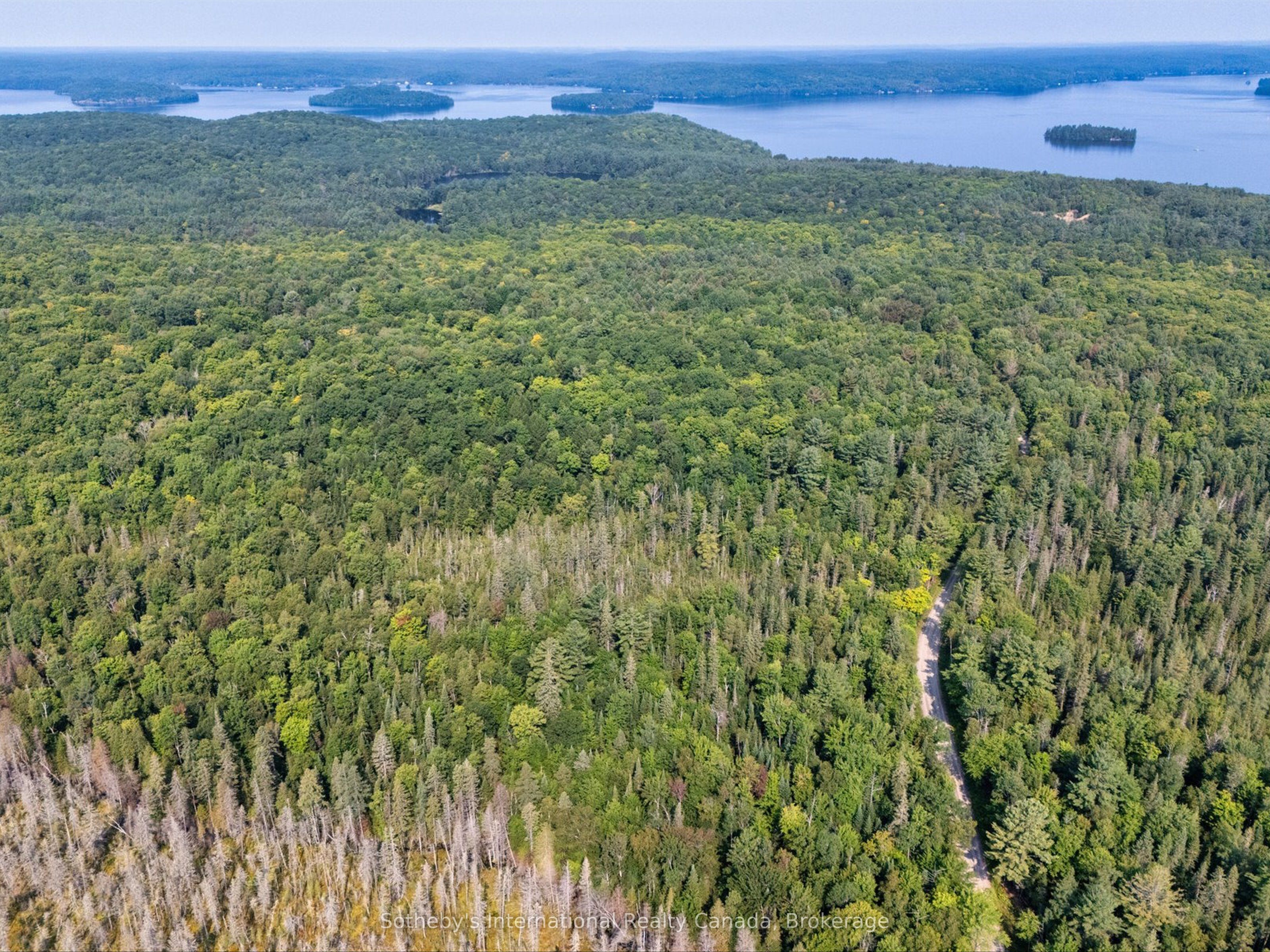 1045 C BROWNS BRAE Road, Lake of Bays, ON P0B 1A0 photo 5