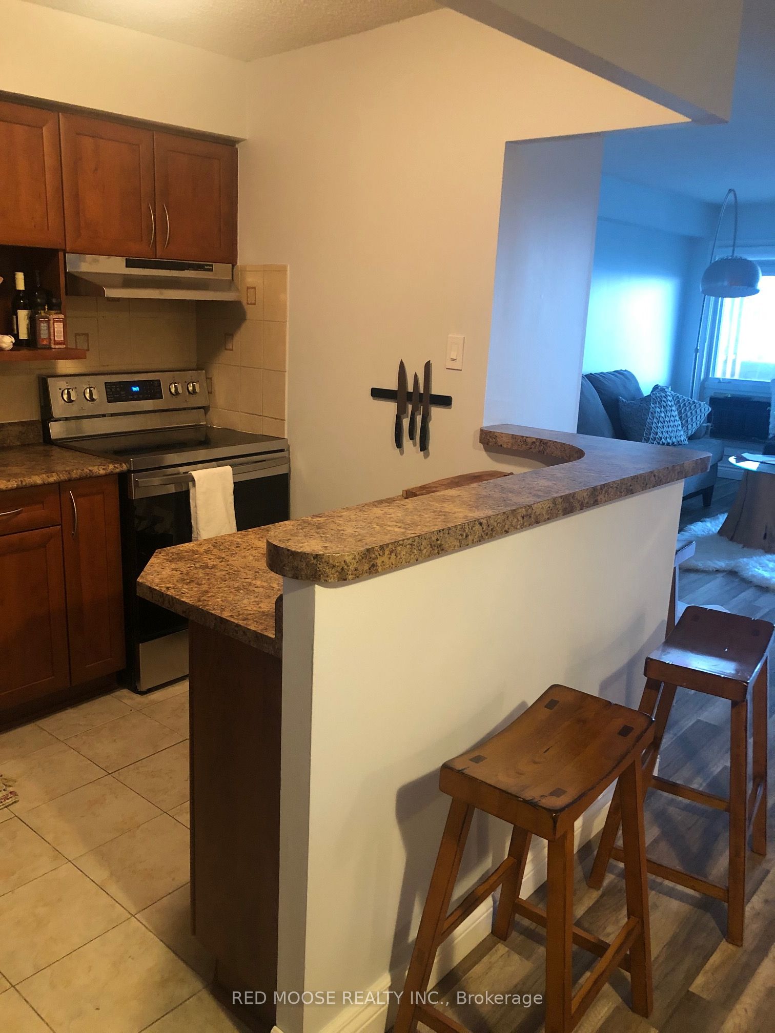 158 B Mcarthur Avenue 706, Vanier and Kingsview Park, ON K1L 8C9 photo 4