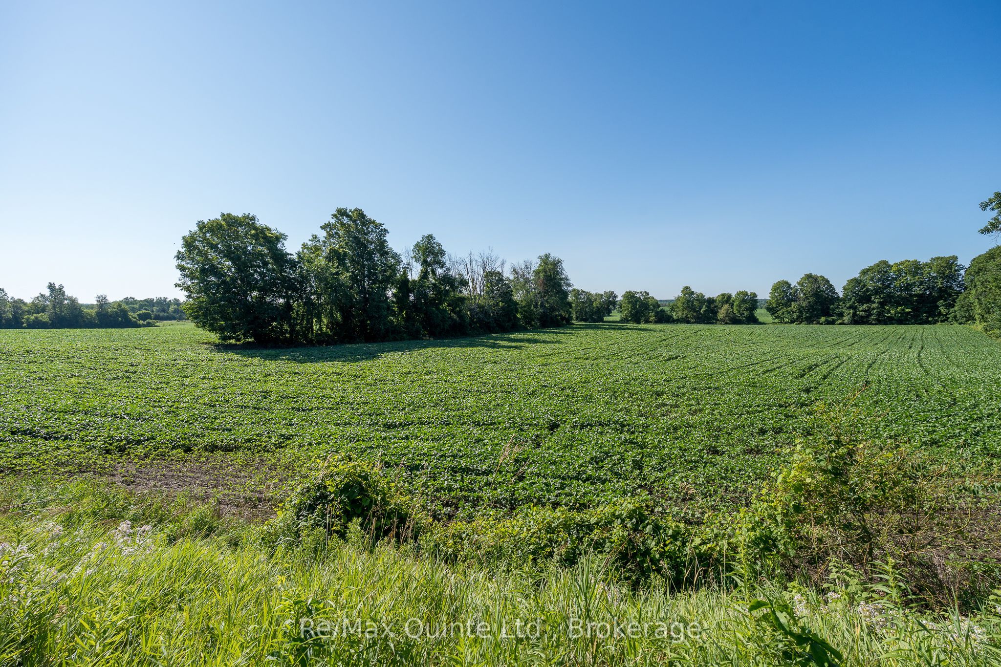 0 Marrisett Road, Tweed, ON K0K 3H0 photo 4