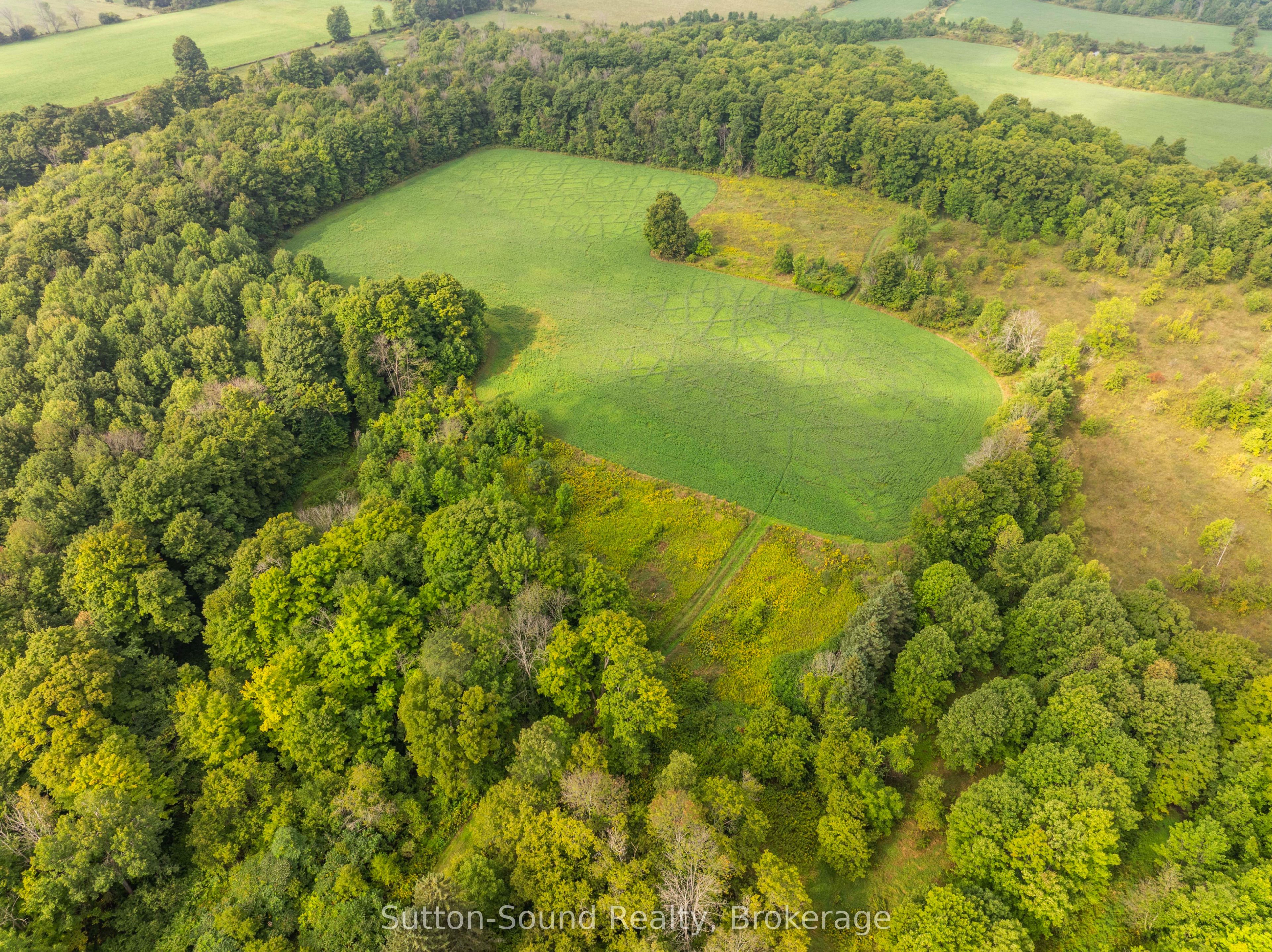 130 Maple Ridge Road, Georgian Bluffs, ON N4K 5N4 photo 3