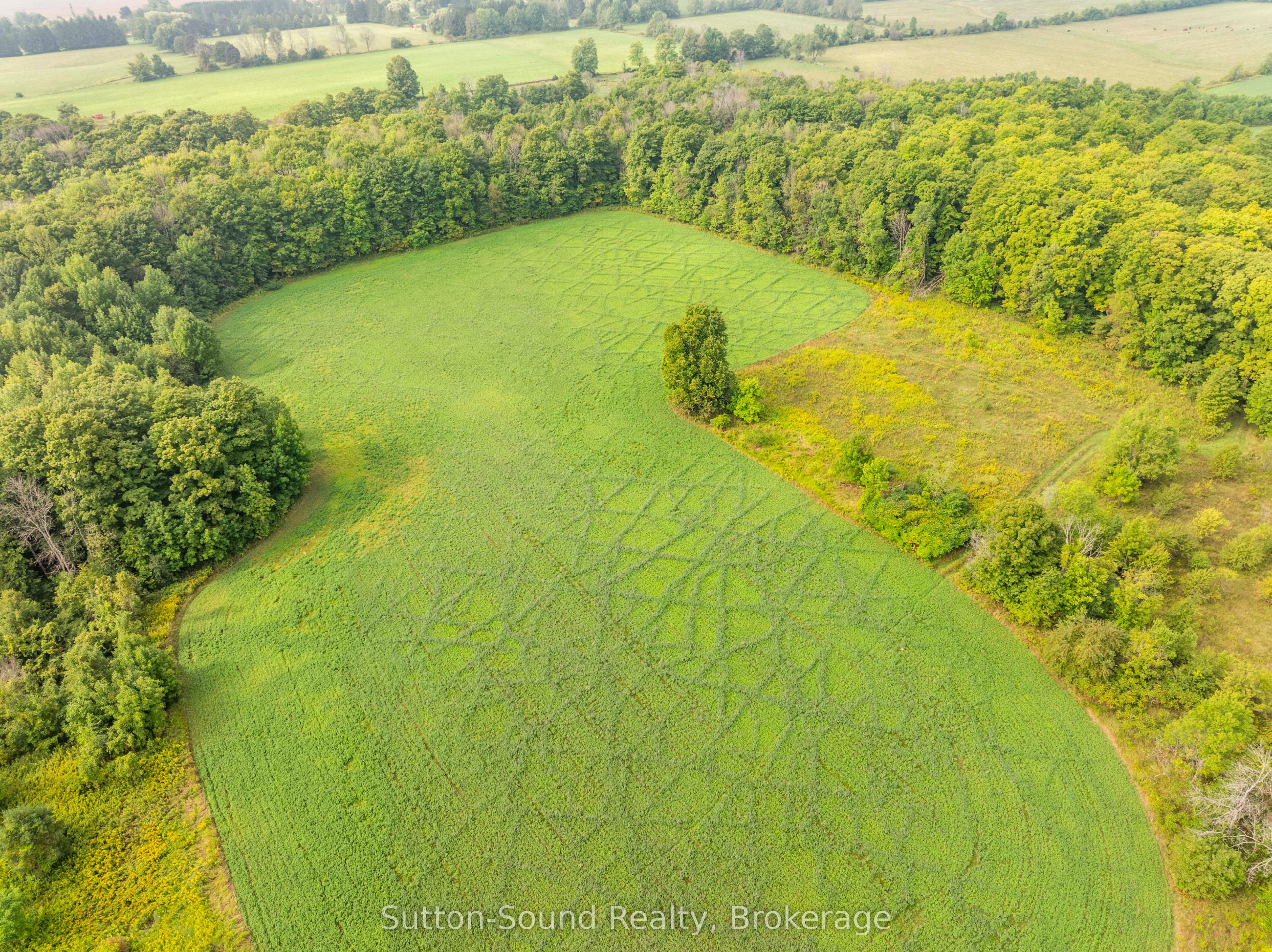 130 Maple Ridge Road, Georgian Bluffs, ON N4K 5N4 photo 4