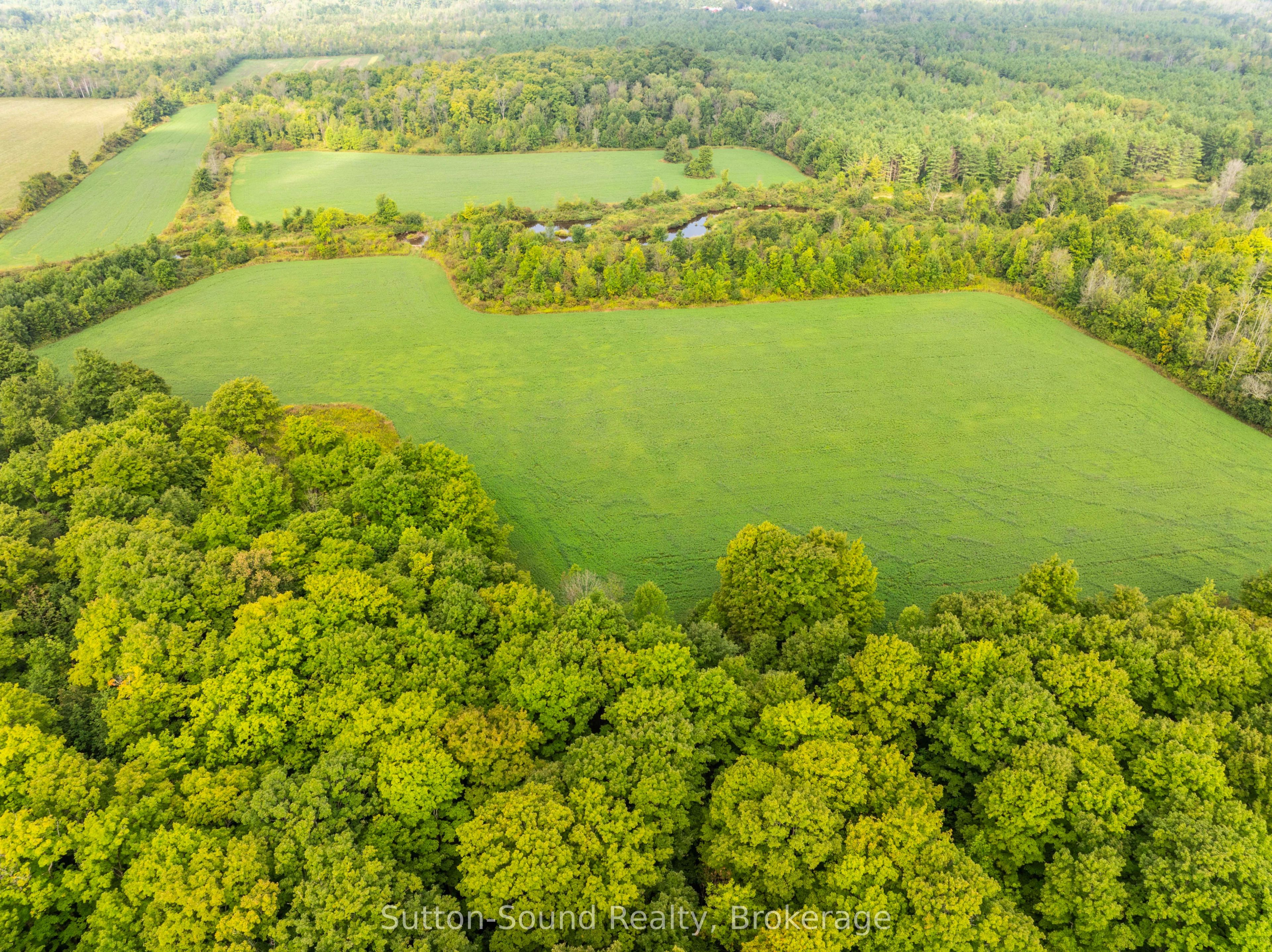 130 Maple Ridge Road, Georgian Bluffs, ON N4K 5N4 photo 5