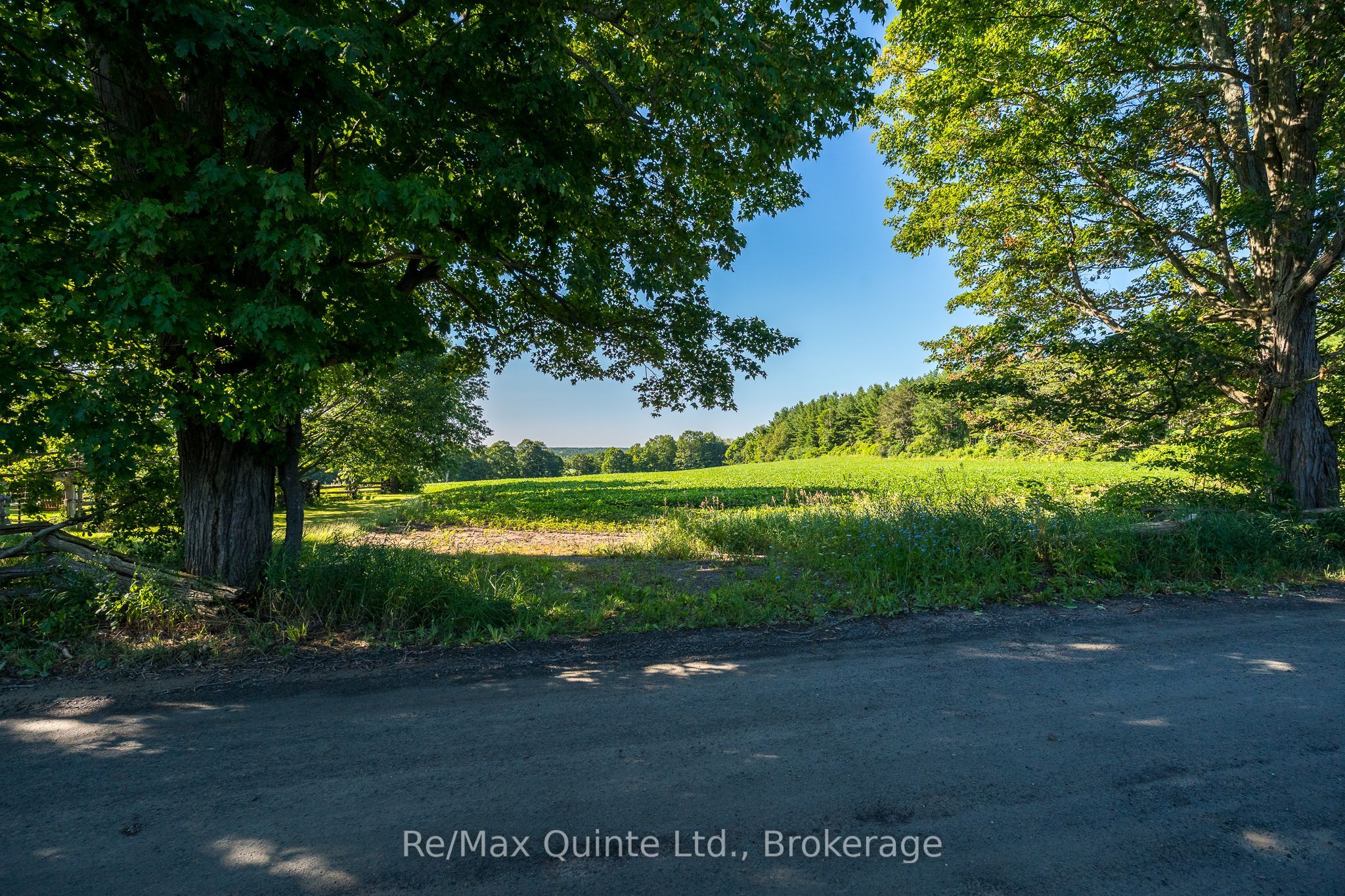 0 Marrisett Road, Tweed, ON K0K 3H0 photo 4