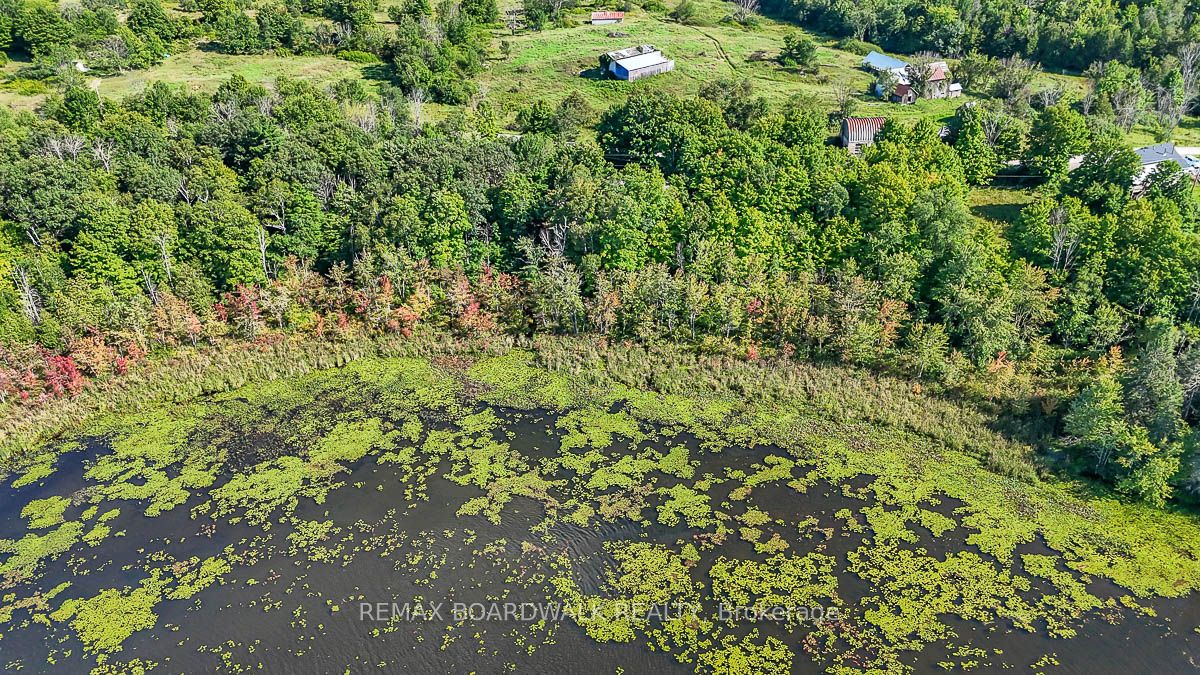 790 Ennis Road, Tay Valley, ON K0G 1A0 photo 2