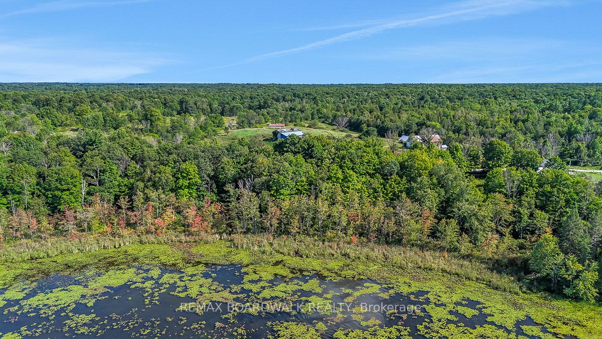 790 Ennis Road, Tay Valley, ON K0G 1A0 photo 3