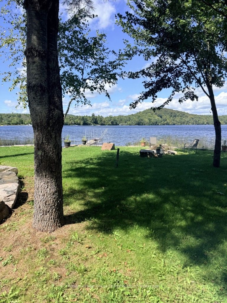 1049 Ninatigo Lane, Algonquin Highlands, ON K0M 1S0 photo 5