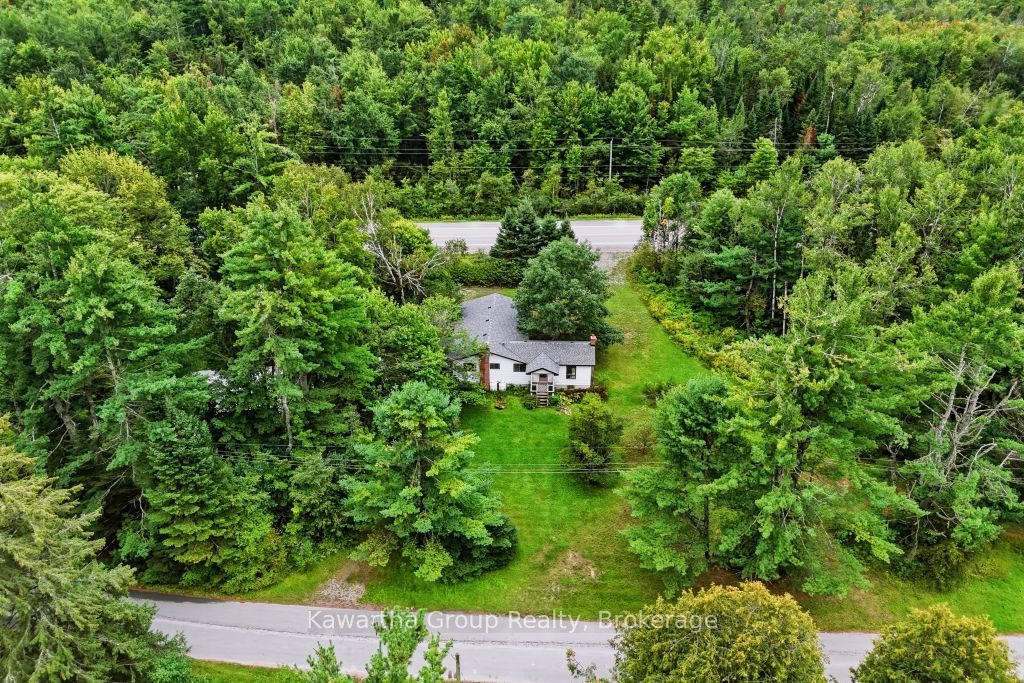 15 Cameron Road, Kawartha Lakes, ON K0M 2L0 photo 3