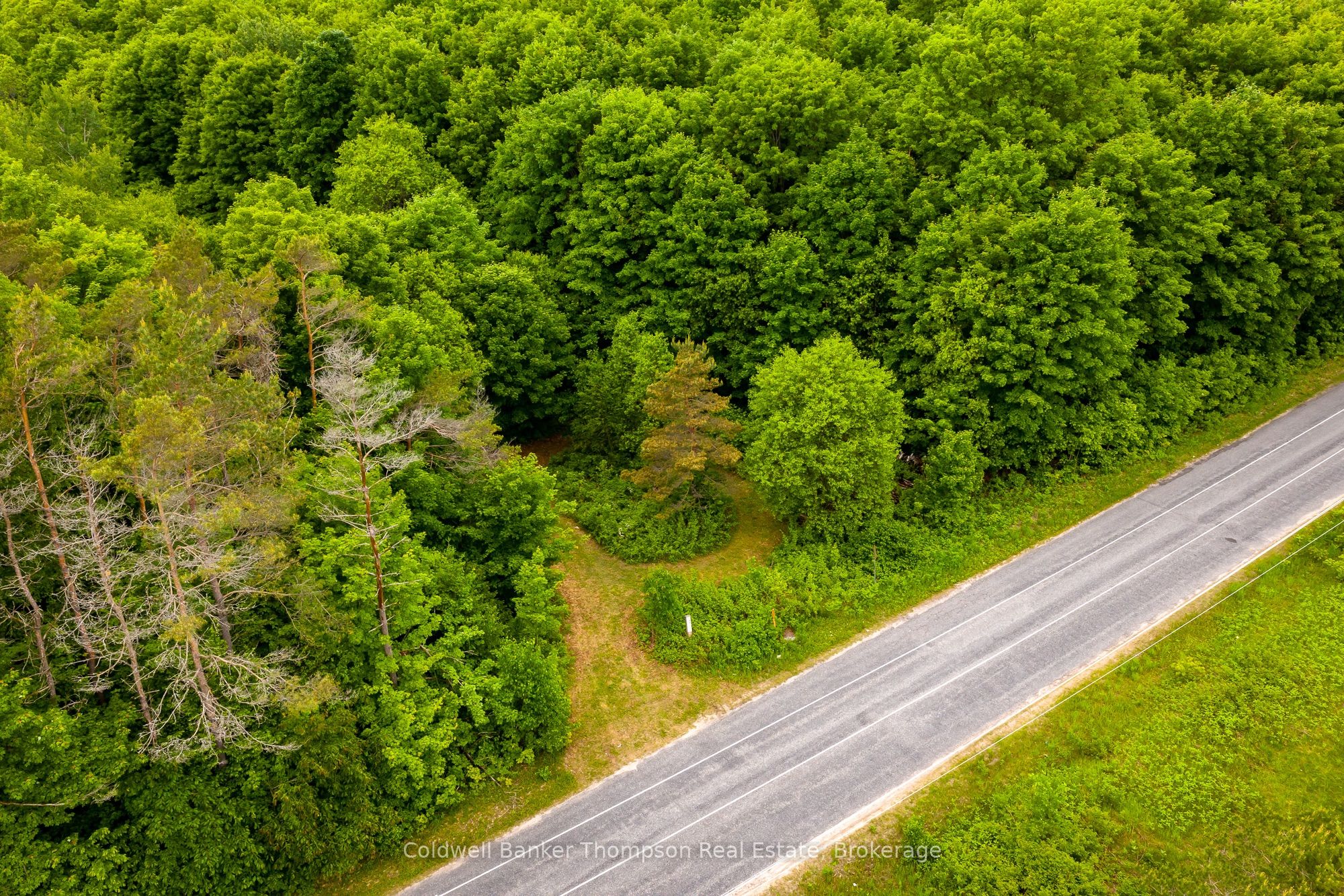 126 Domtar Road, Huntsville, ON P0B 1M0 photo 4