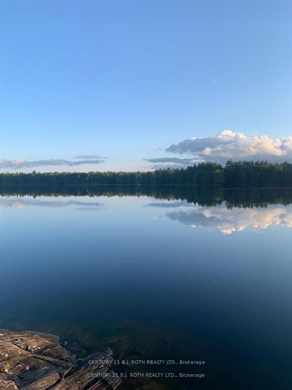 24 Severn River, Muskoka Lakes, ON P0E 1G0 photo 4