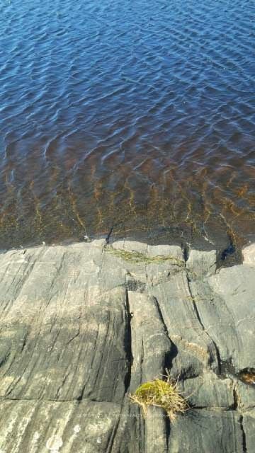 24 Severn River, Muskoka Lakes, ON P0E 1G0 photo 5