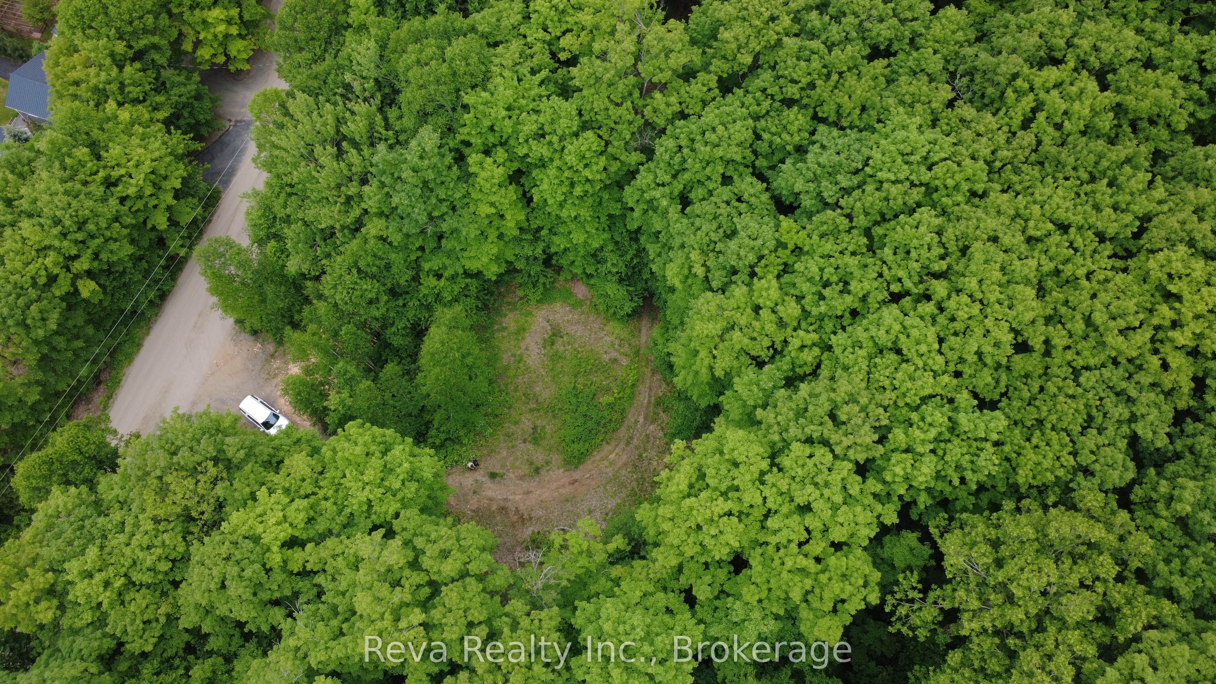 219 Elgin Road, Hastings Highlands, ON K0L 2K0 photo 2