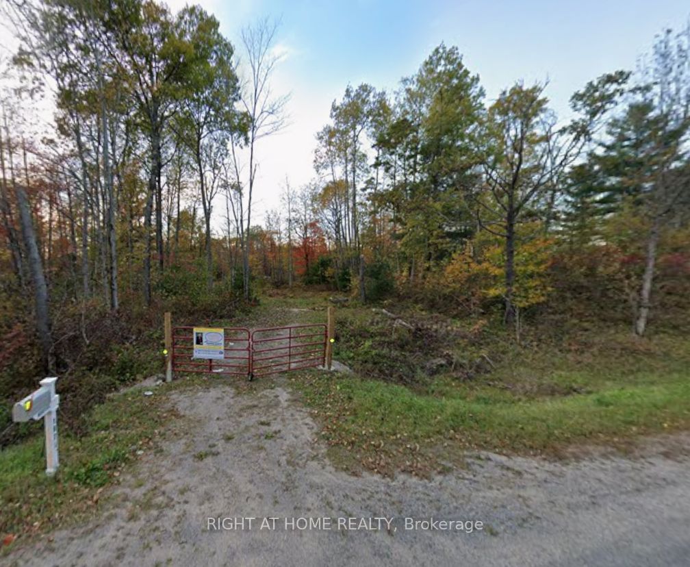 1071 Flinton Road, Tweed, ON K0K 3J0 photo 3