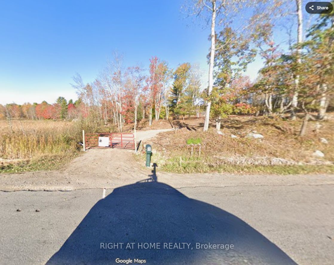 1071 Flinton Road, Tweed, ON K0K 3J0 photo 4
