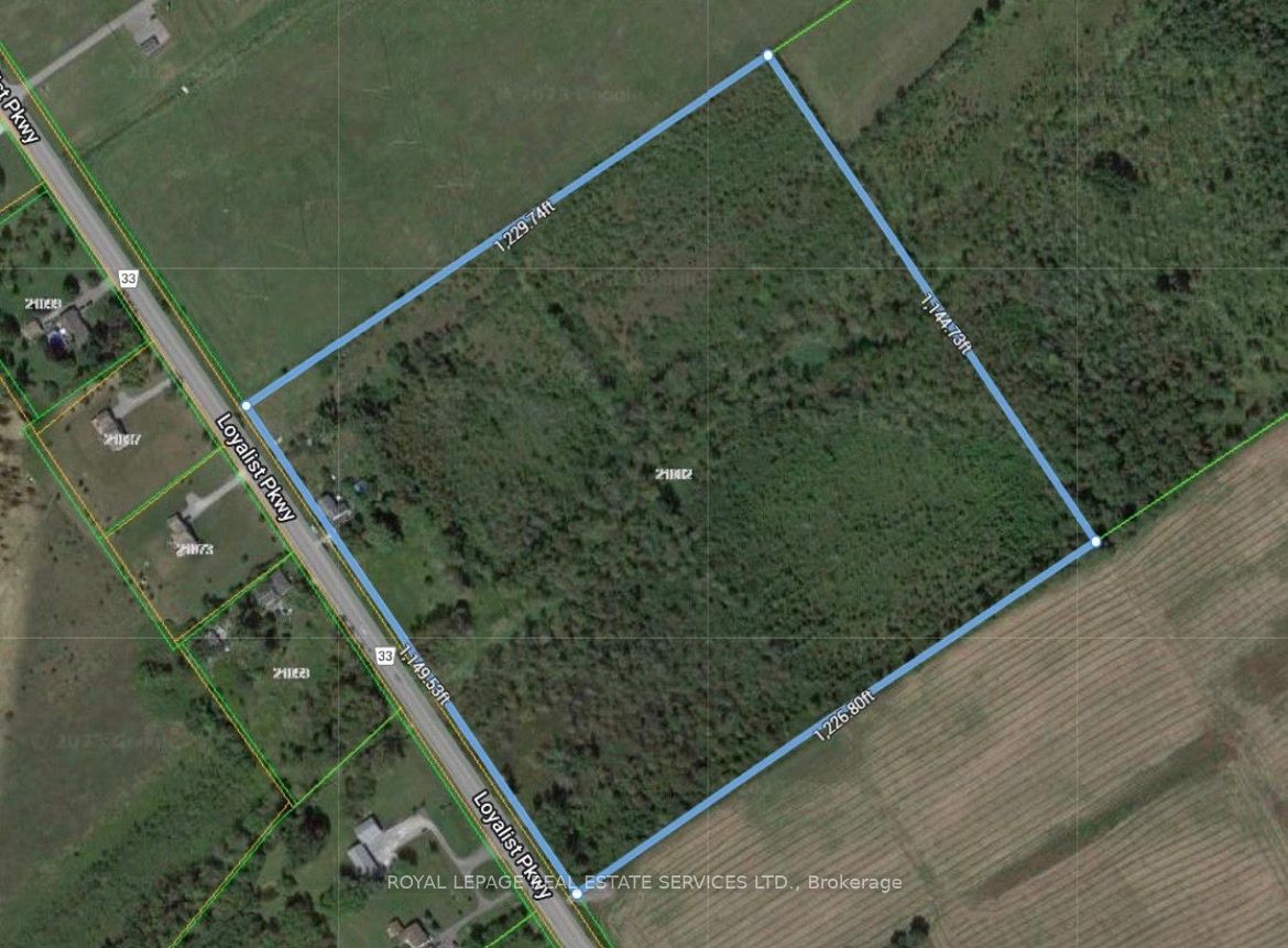 21062 Loyalist Parkway, Prince Edward County, ON K0K 1L0 photo 4