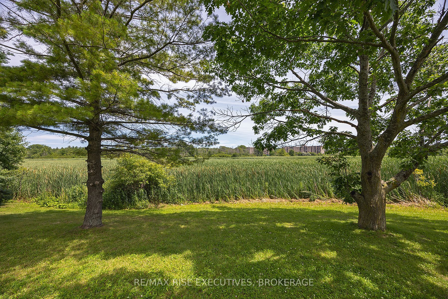 580 Armstrong Road 118, Kingston, ON K7M 8M3 photo 4