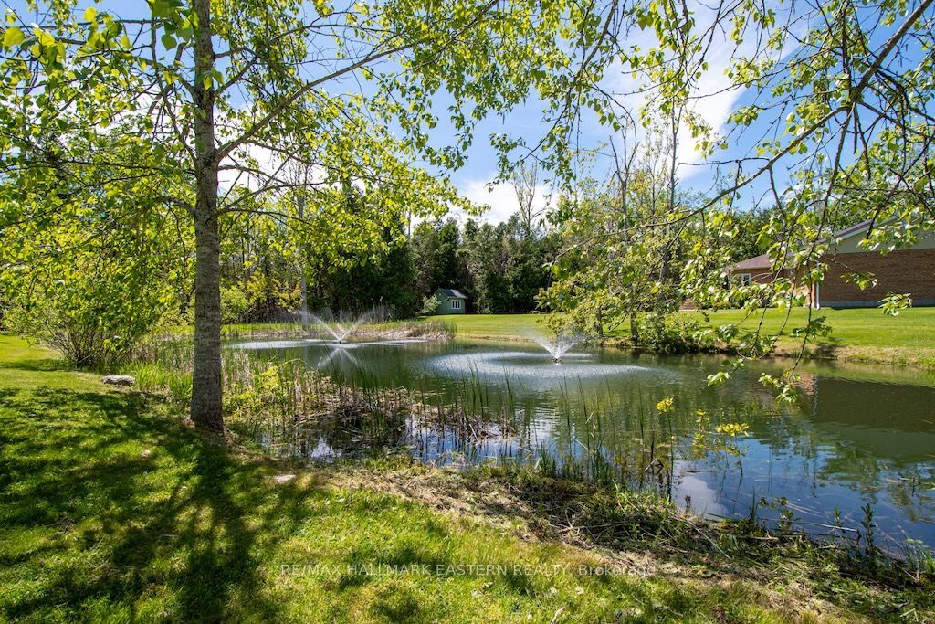 615 Edenderry Line, Selwyn, ON K0L 1T0 photo 4