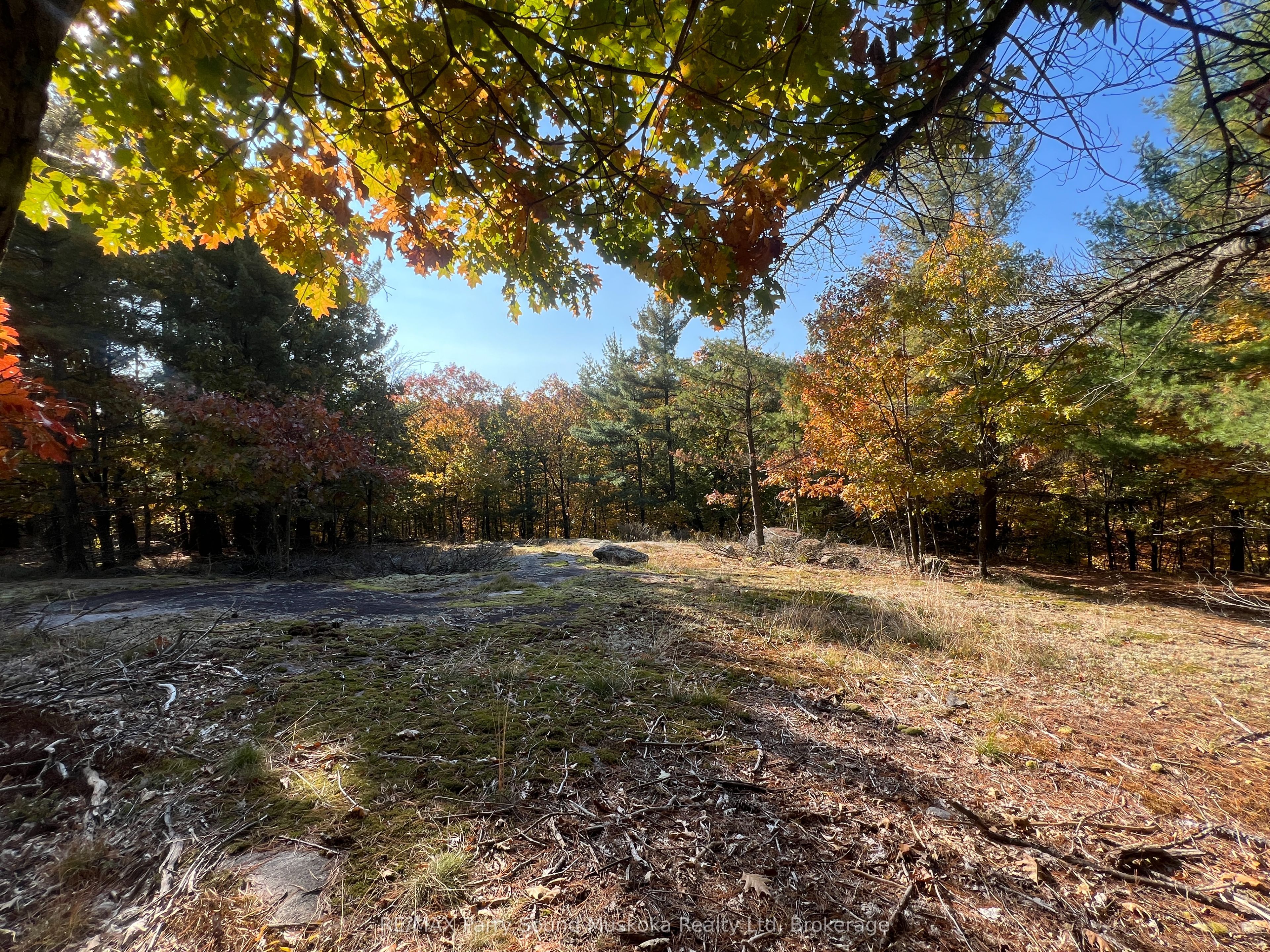 13 Ridgeway Drive, Carling, ON P0G 1G0 photo 2