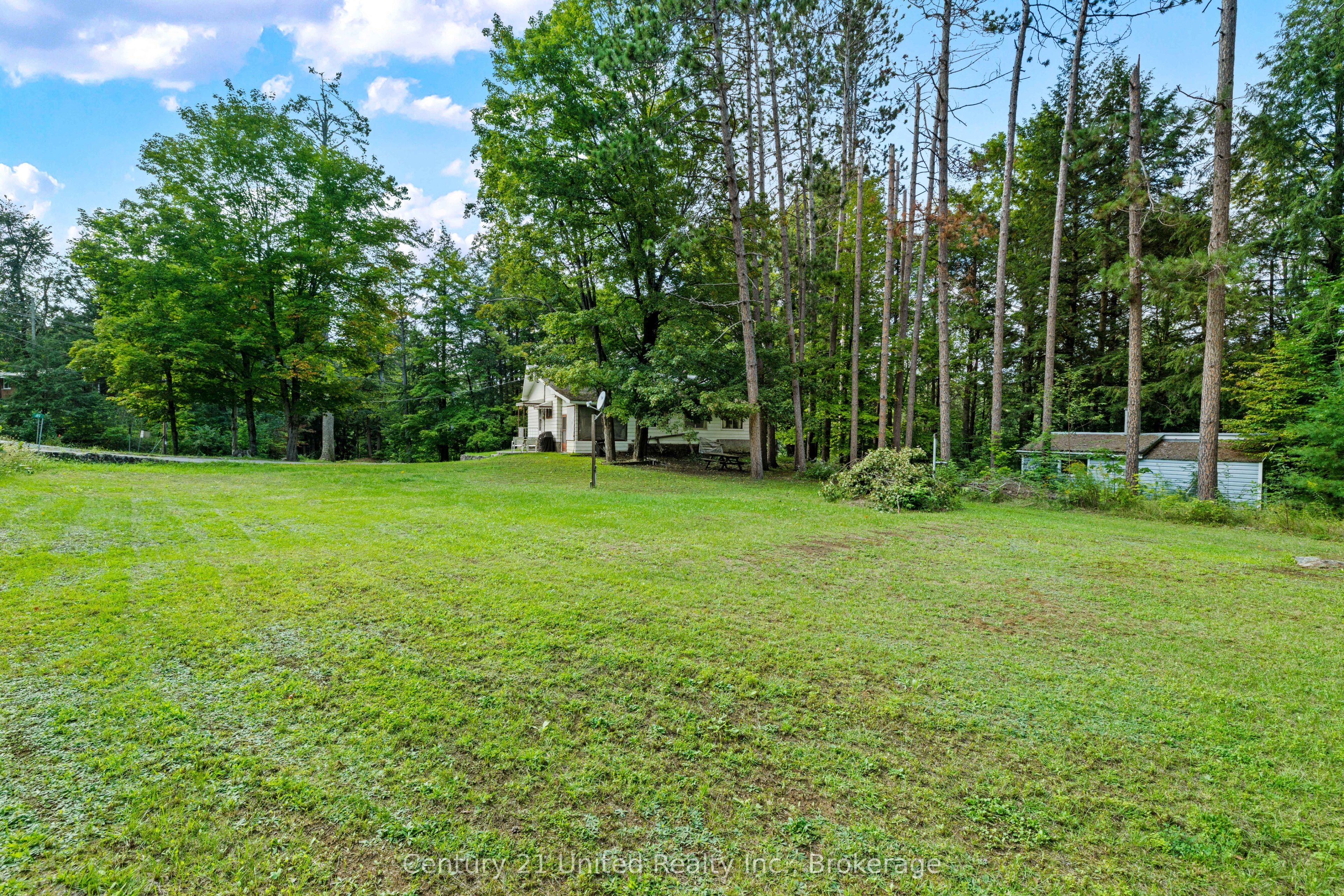 49 Mcfadden Road, North Kawartha, ON K0L 1A0 photo 3
