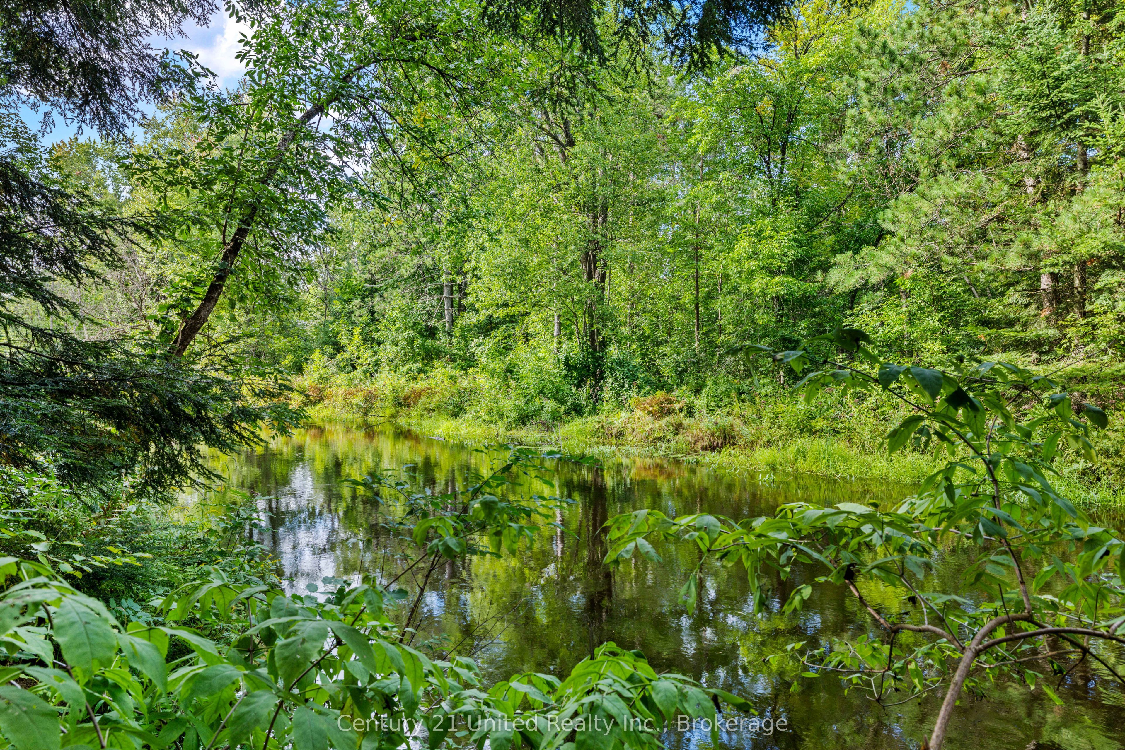 49 Mcfadden Road, North Kawartha, ON K0L 1A0 photo 5