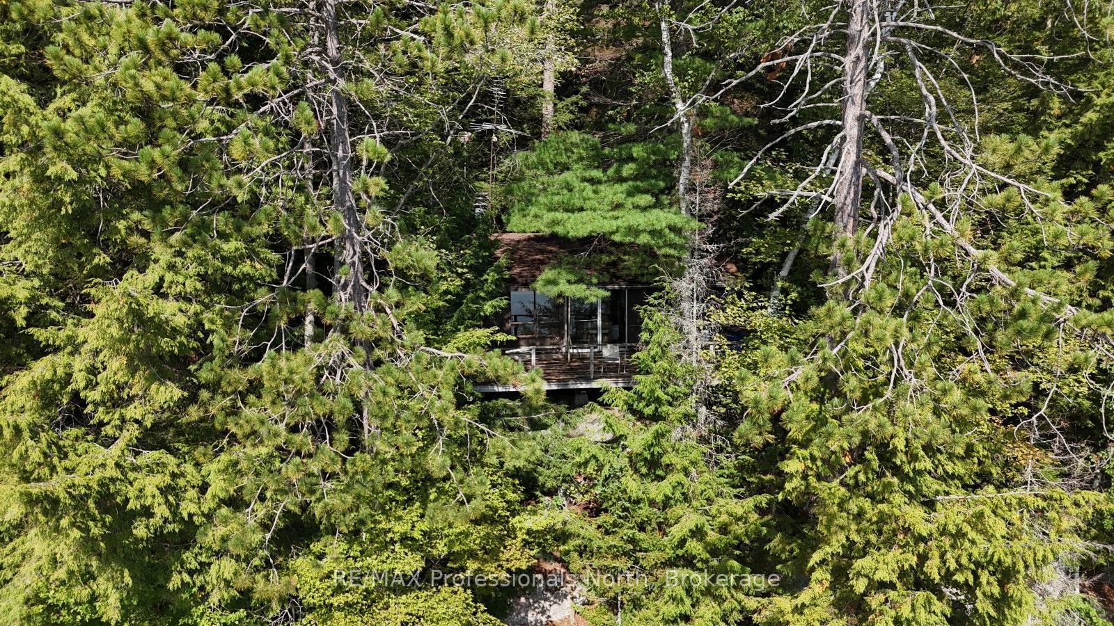 1019 Arrowhead Drive, Highlands East, ON K0M 1S0 photo 2