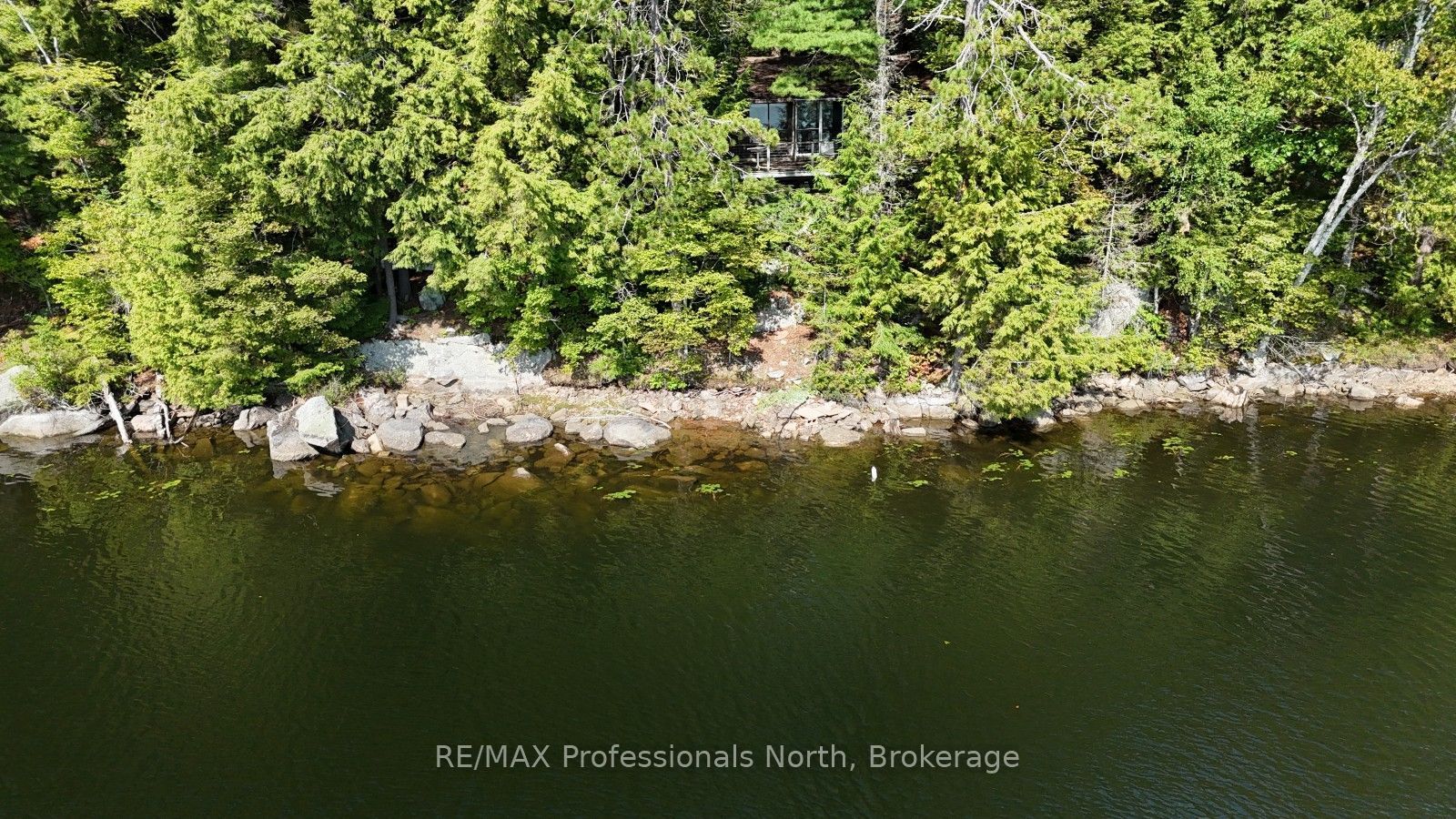 1019 Arrowhead Drive, Highlands East, ON K0M 1S0 photo 4