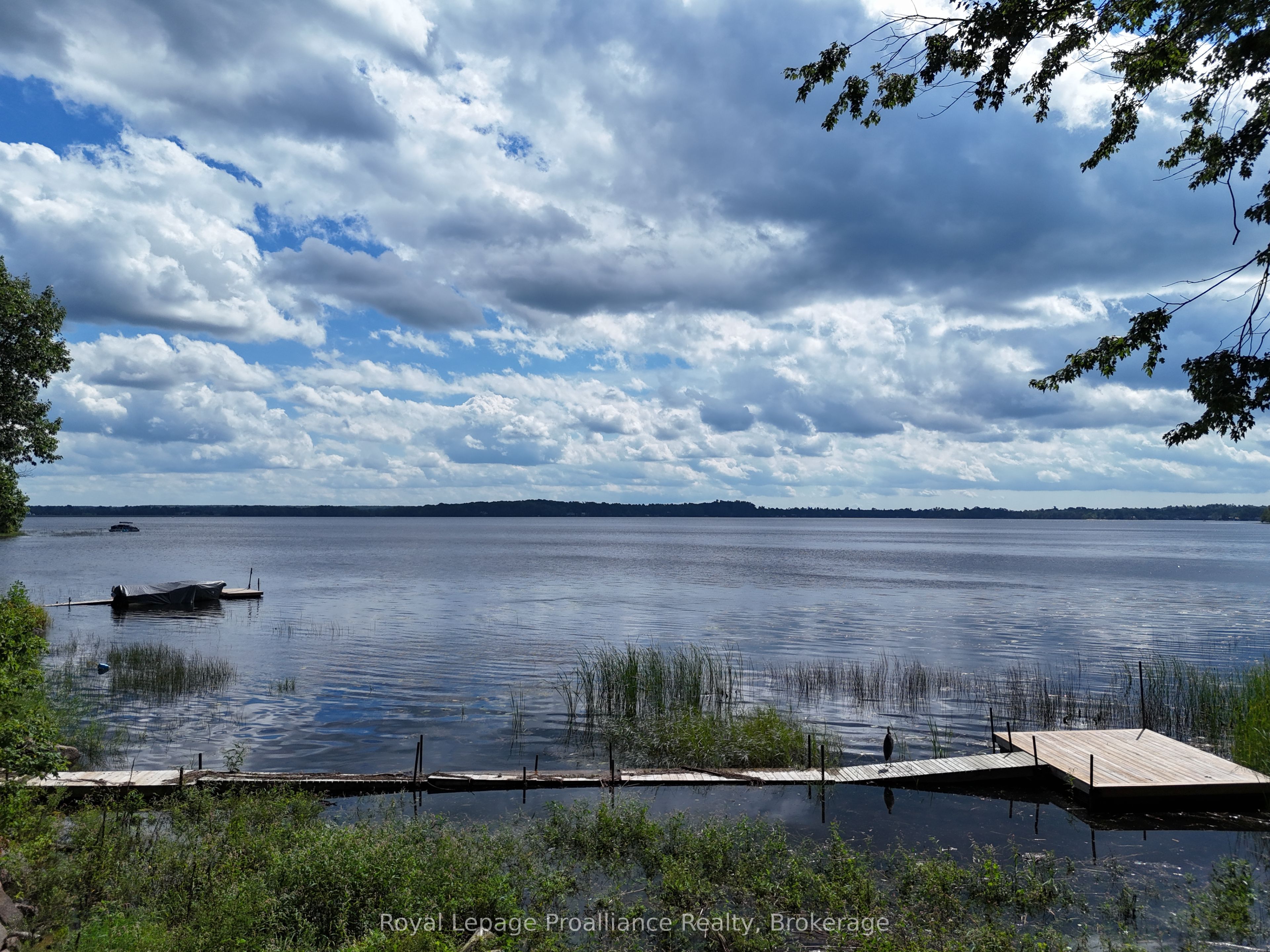 214 Lakeview Lane, Tweed, ON K0K 3J0 photo 4