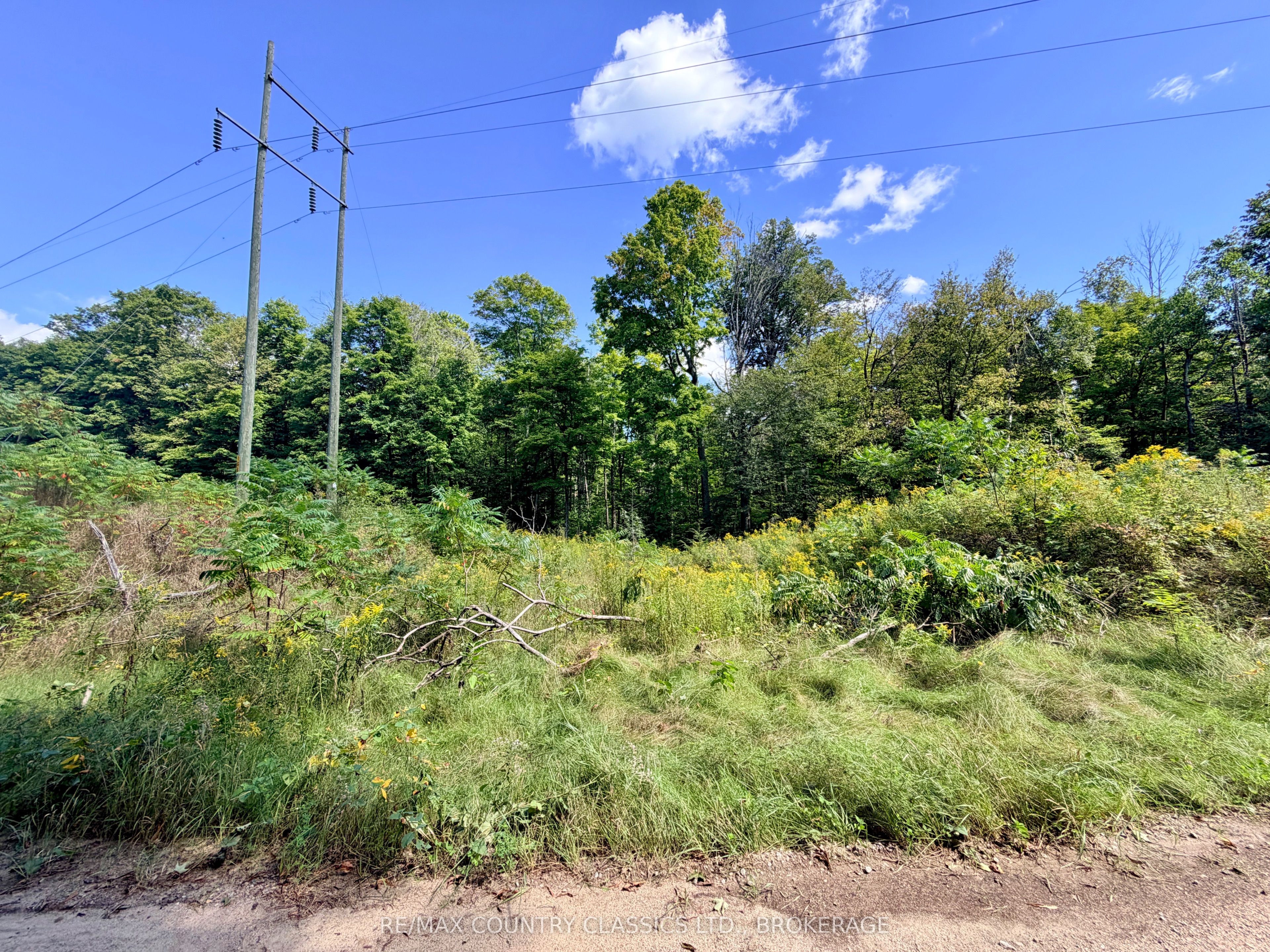 S 1/2 LOT 2-4 CON 1 Hydro Lane, Frontenac, ON K0H 2M0 photo 4
