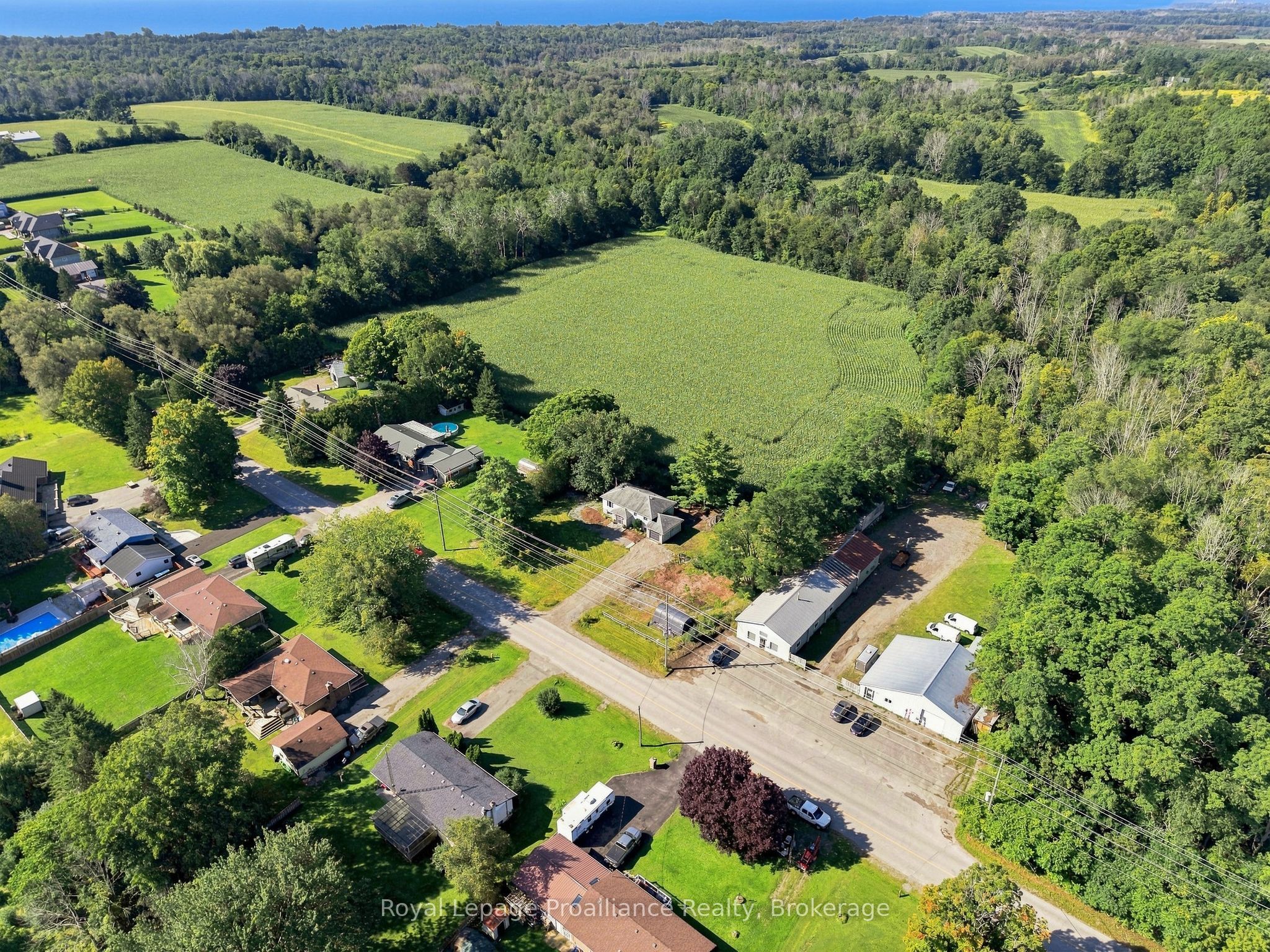 464 Brimley Road S, Alnwick/Haldimand, ON K0K 2G0 photo 3