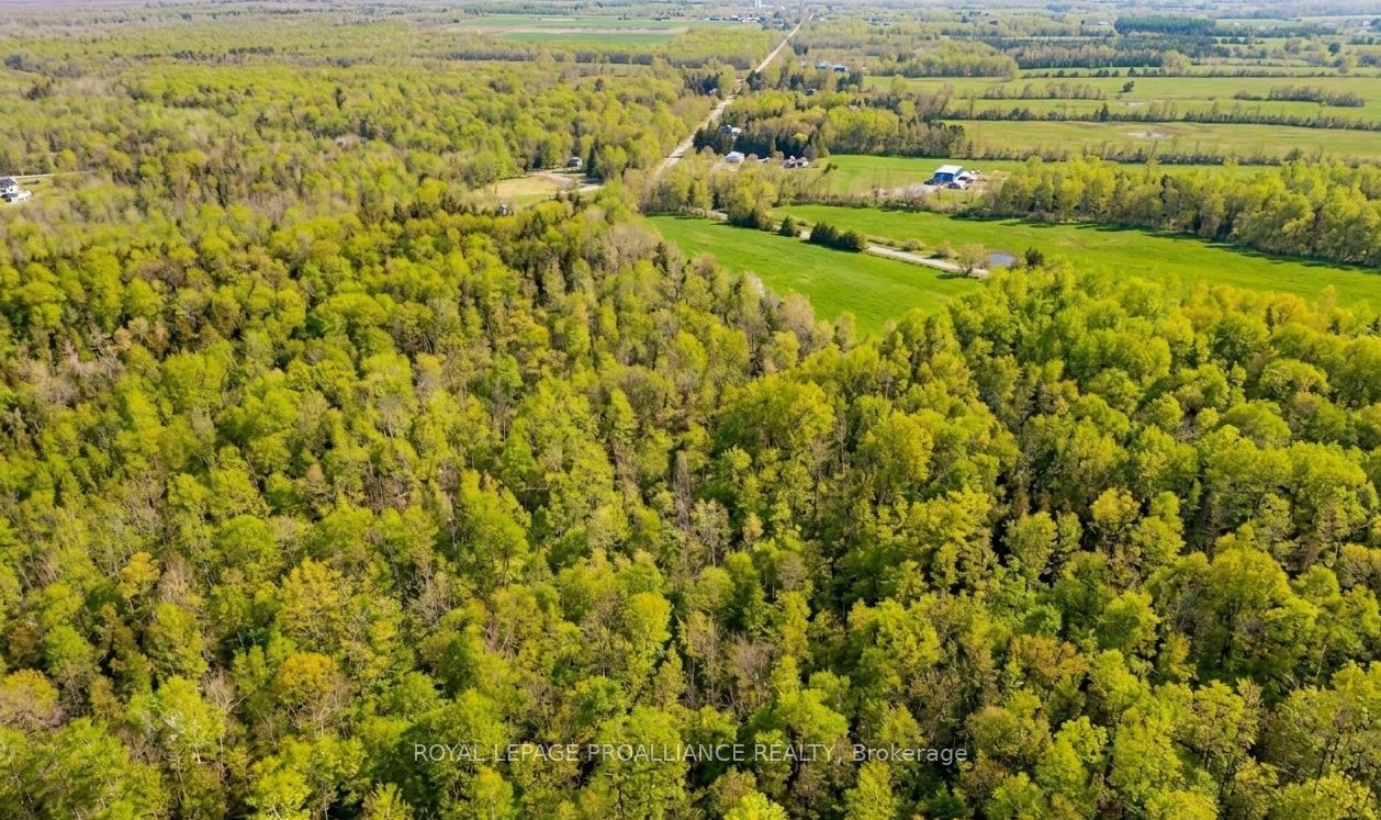 00 Knapp Drive, Augusta, ON K6V 5T2 photo 3