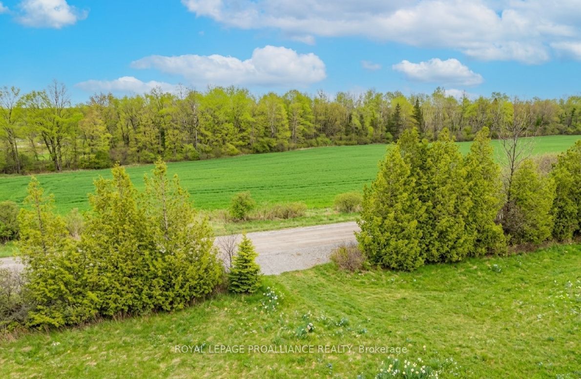 00 Knapp Drive, Augusta, ON K6V 5T2 photo 4