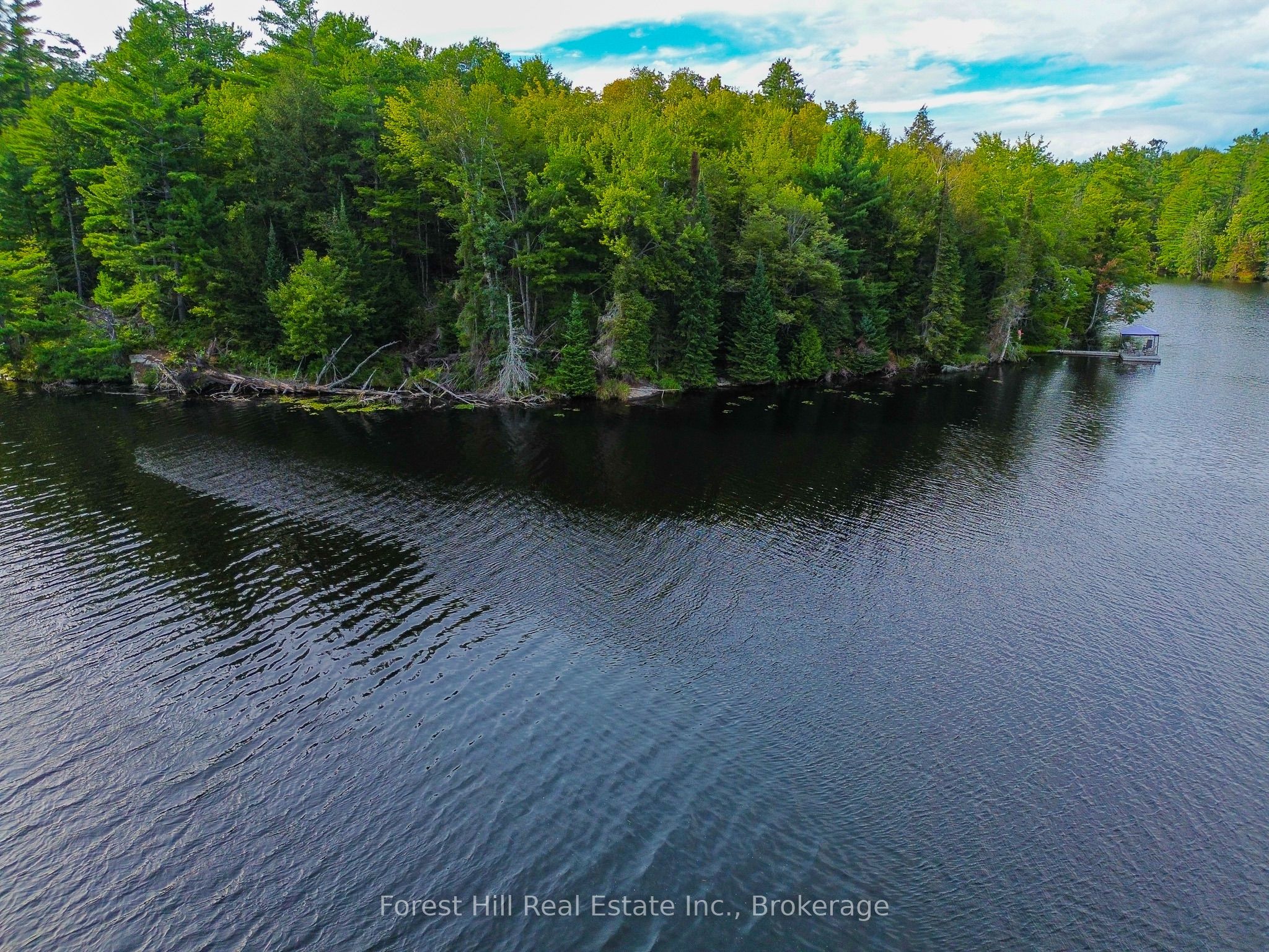1316 Carlsmount Road E, Bracebridge, ON P1L 1X1 photo 5