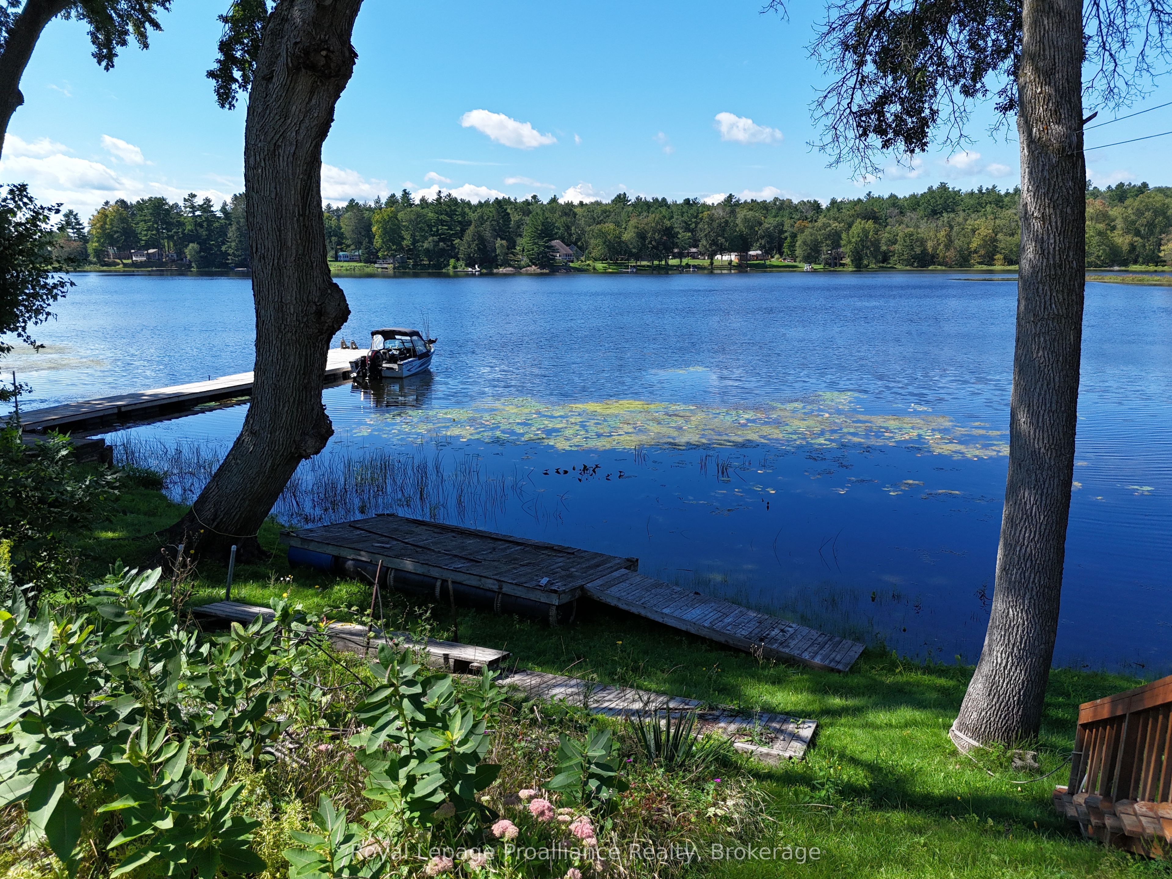 24 Cosy Cove Lane, Tweed, ON K0K 3J0 photo 5