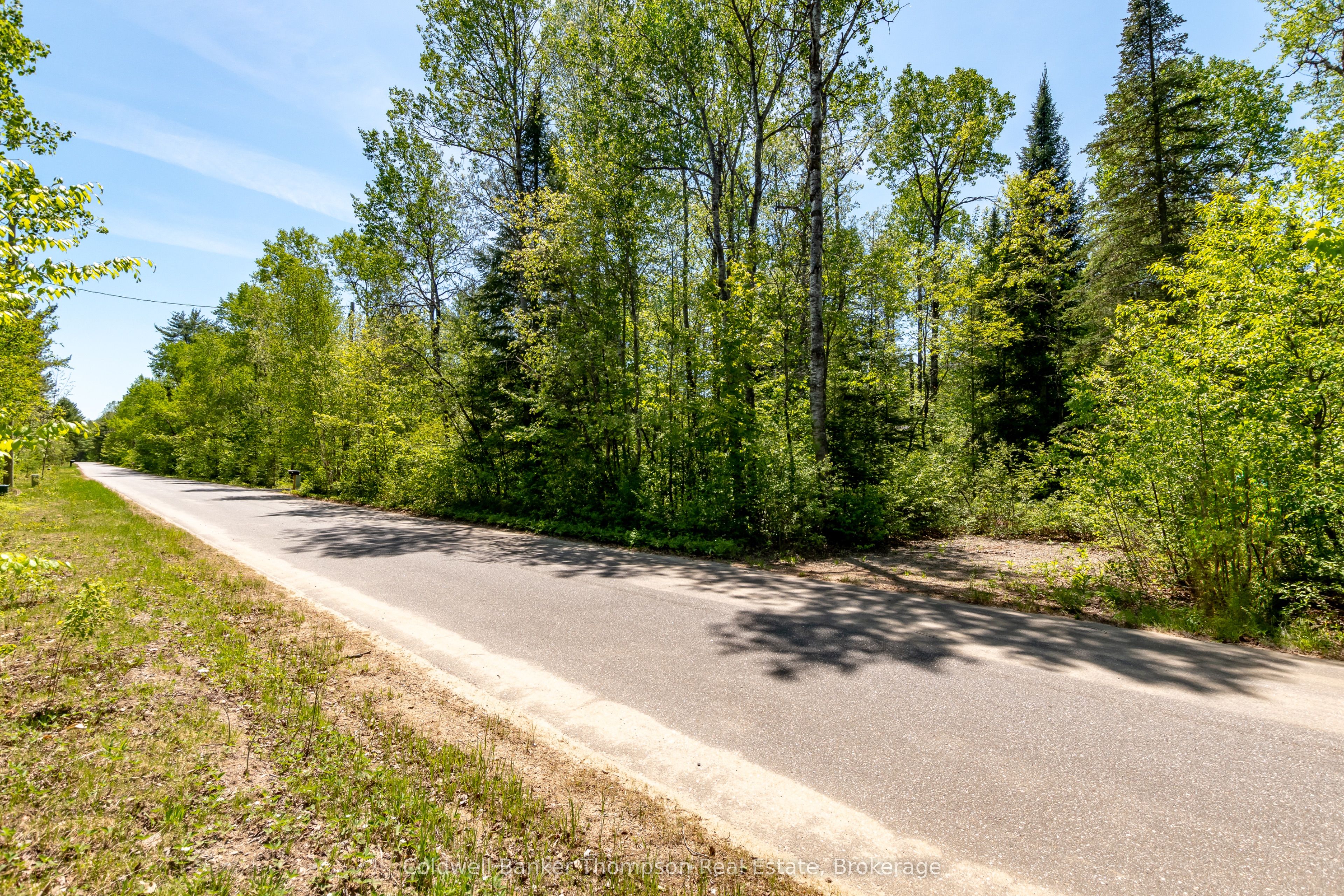 Part 4 Spring Lake Road, Lake of Bays, ON P0A 1H0 photo 2
