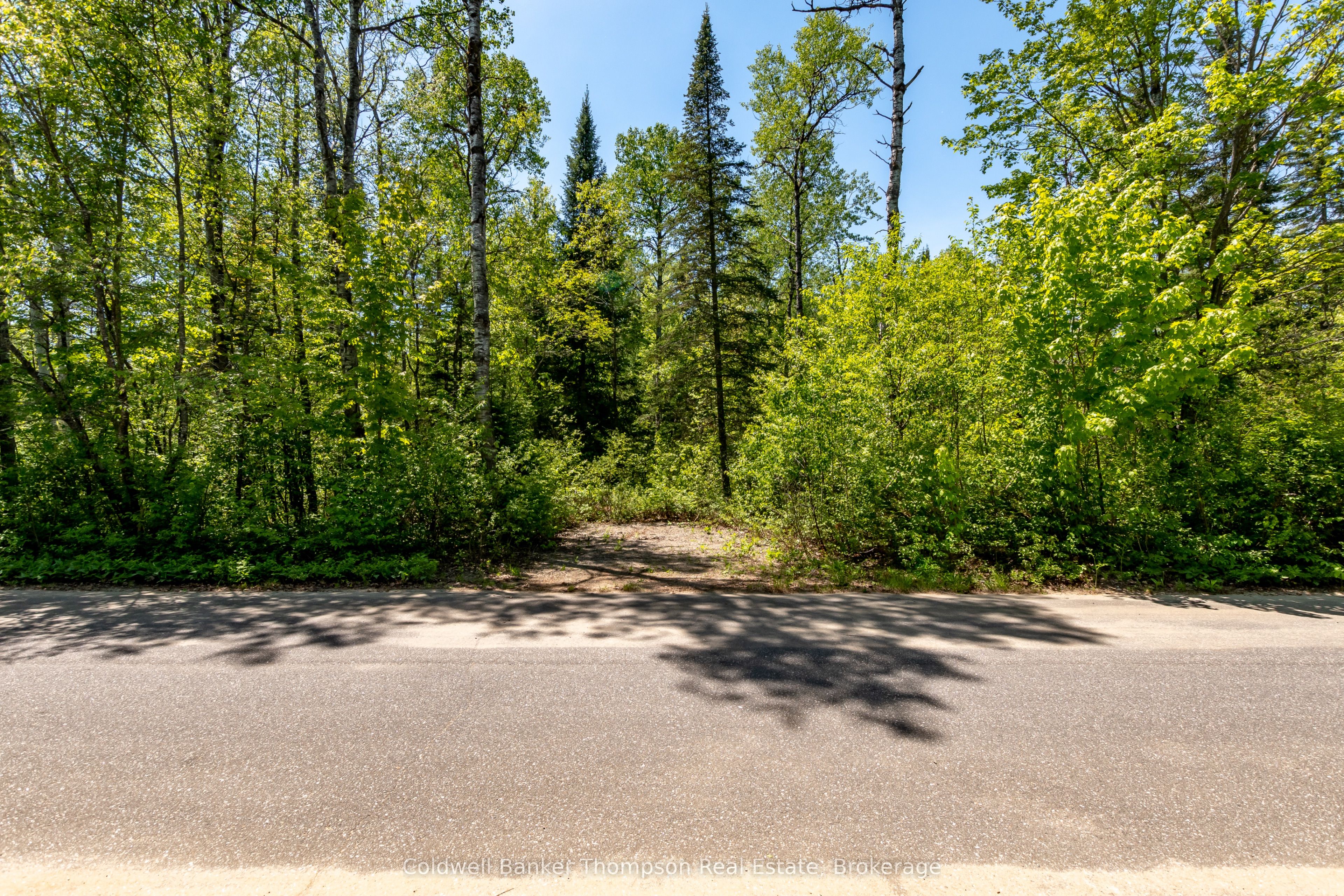 Part 4 Spring Lake Road, Lake of Bays, ON P0A 1H0 photo 3