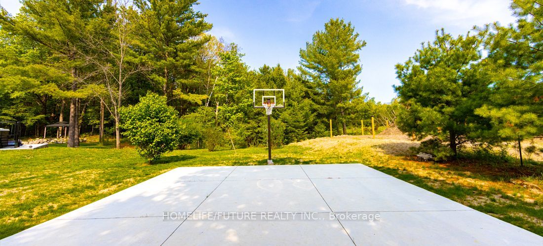 1559 North Belmont Concession, Havelock-Belmont-Methuen, ON K0L 1Z0