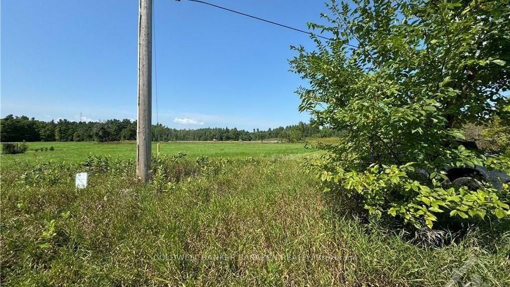0 Bandy's Road, McNab/Braeside, ON K7S 3G8 photo 3