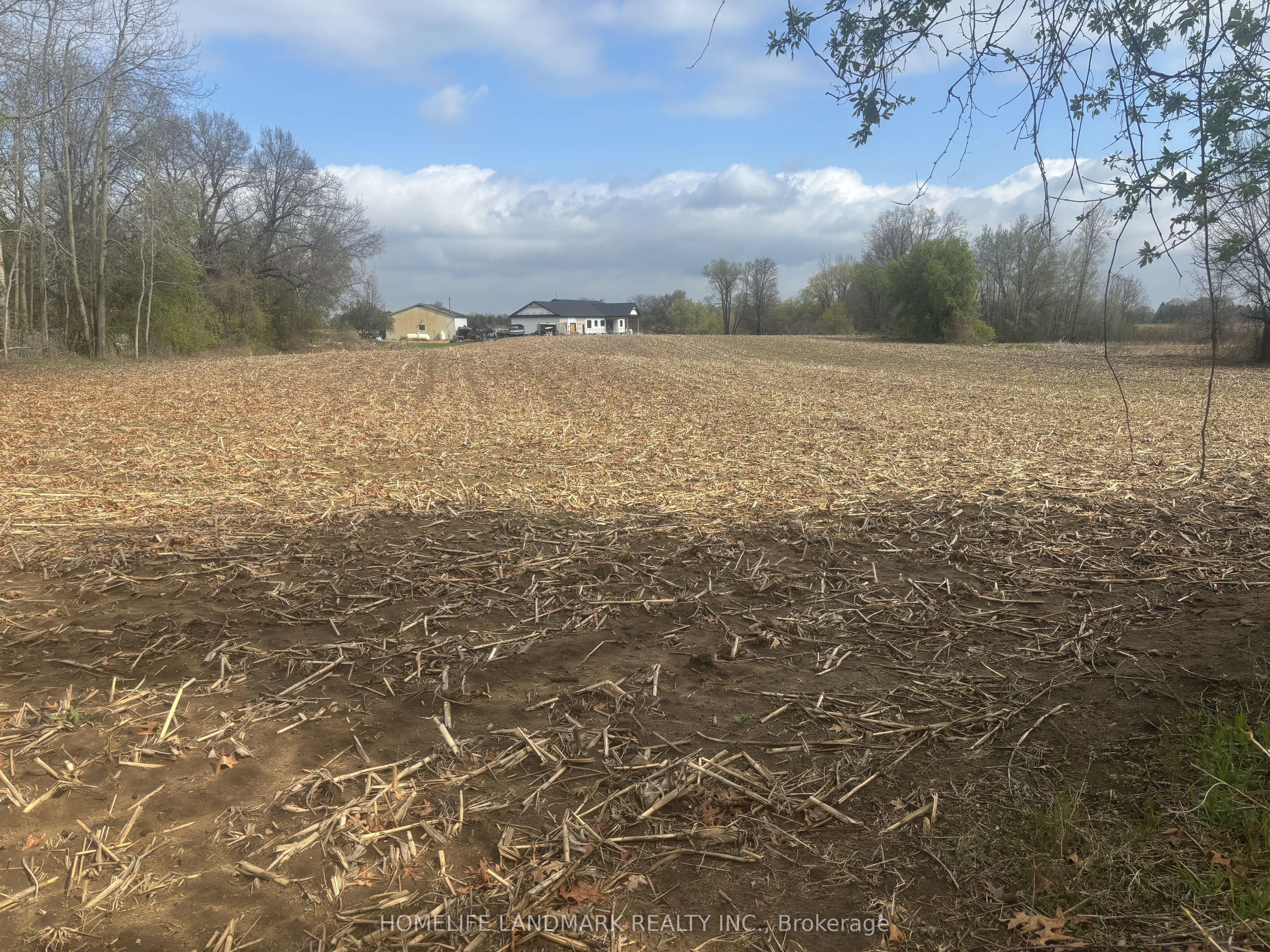 18 Burford-Delhi Townline Road, Brant, ON N0E 1R0 photo 3
