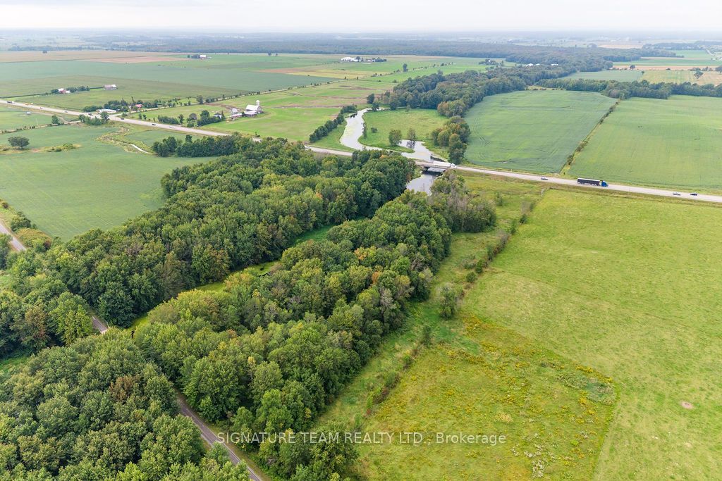 19573 17 Highway, Whitewater Region, ON K0J 1K0 photo 4