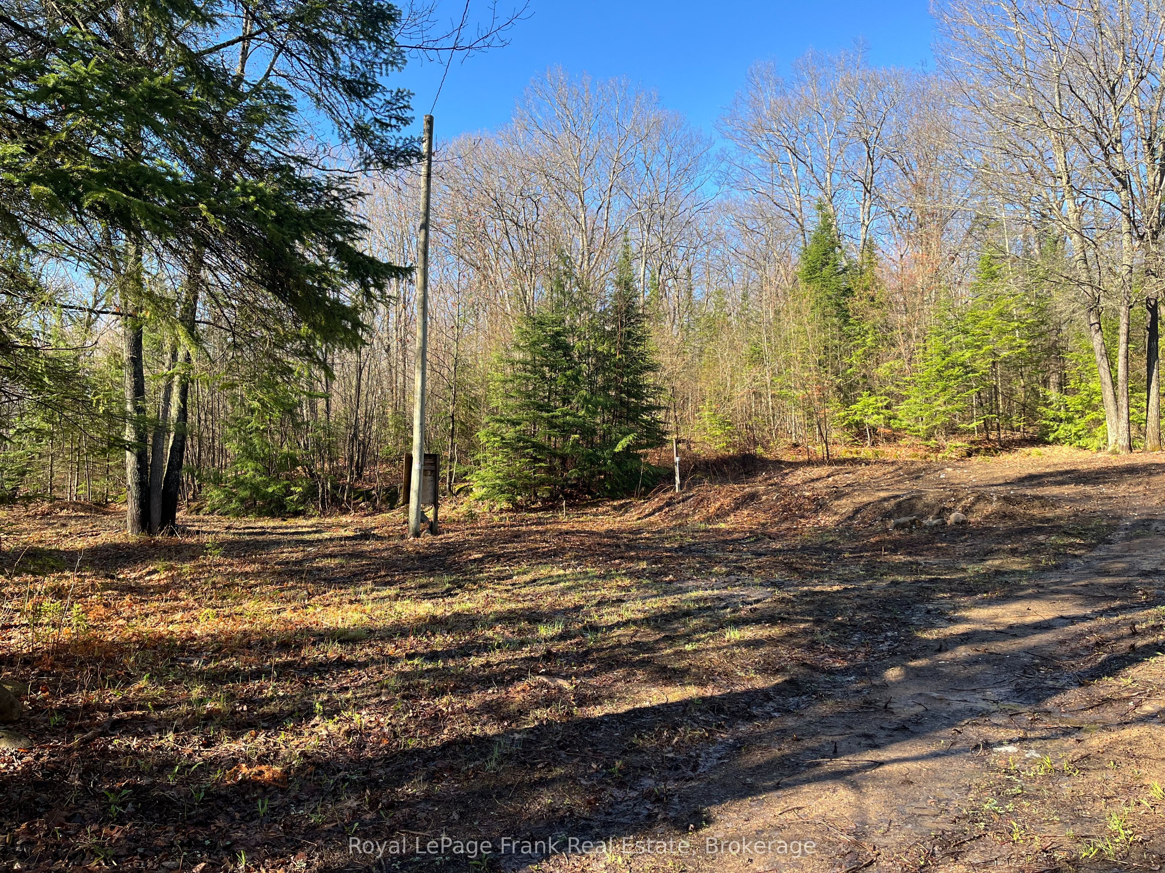 120 Norlock Road, Madawaska Valley, ON K0J 1B0 photo 2