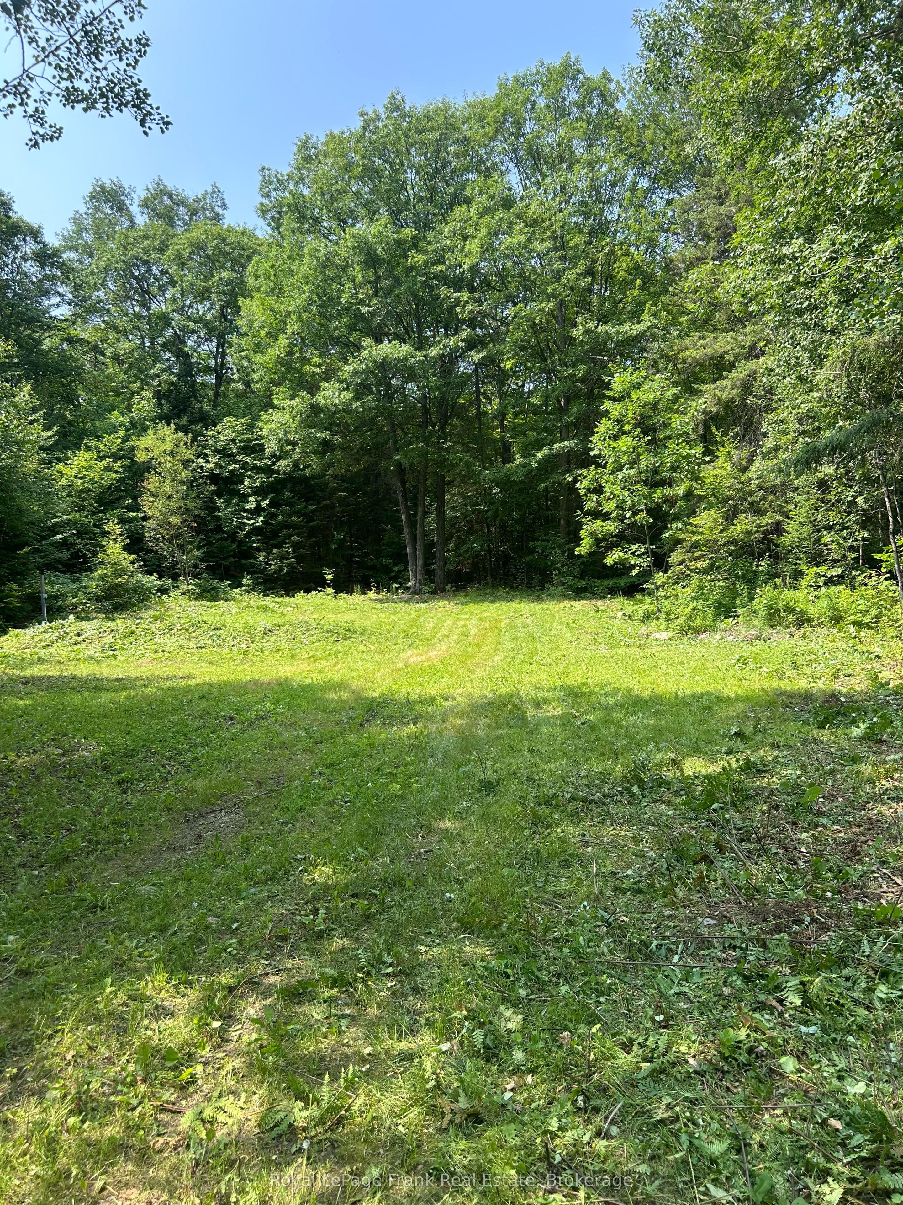 120 Norlock Road, Madawaska Valley, ON K0J 1B0 photo 4