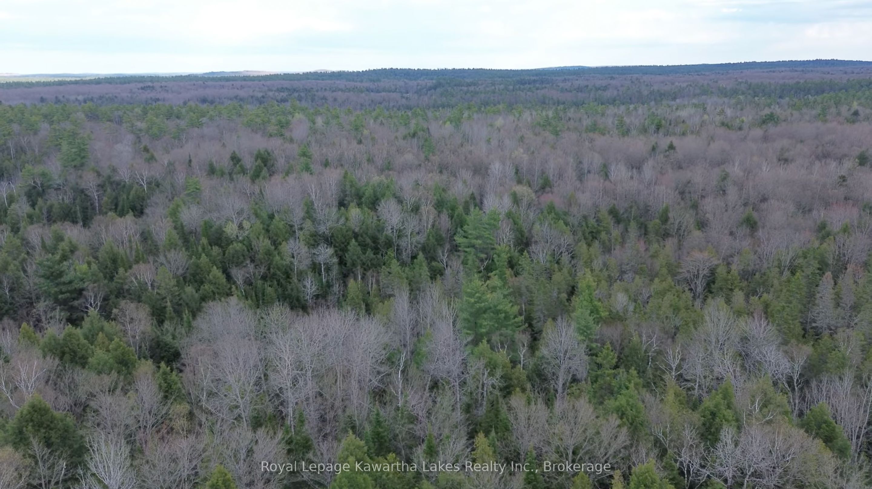 0 CRYSTAL LAKE Road, Trent Lakes, ON K0M 2A0 photo 2