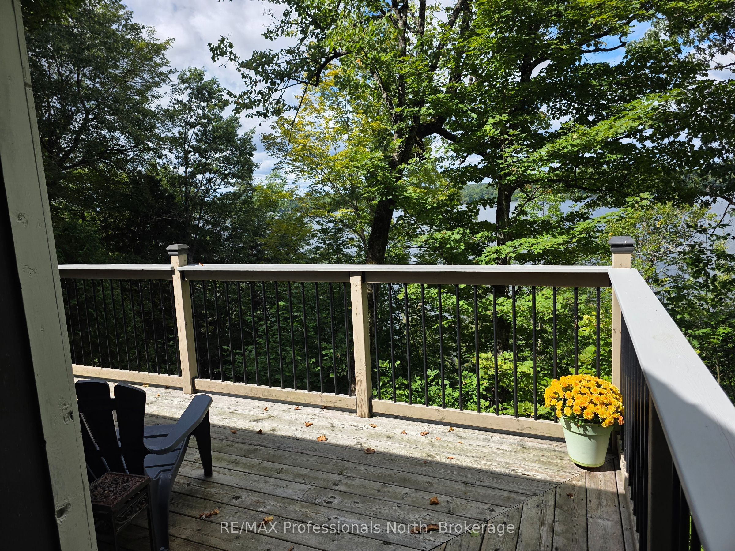 1258-2 Windemere Road, Muskoka Lakes, ON P0B 1M0 photo 4